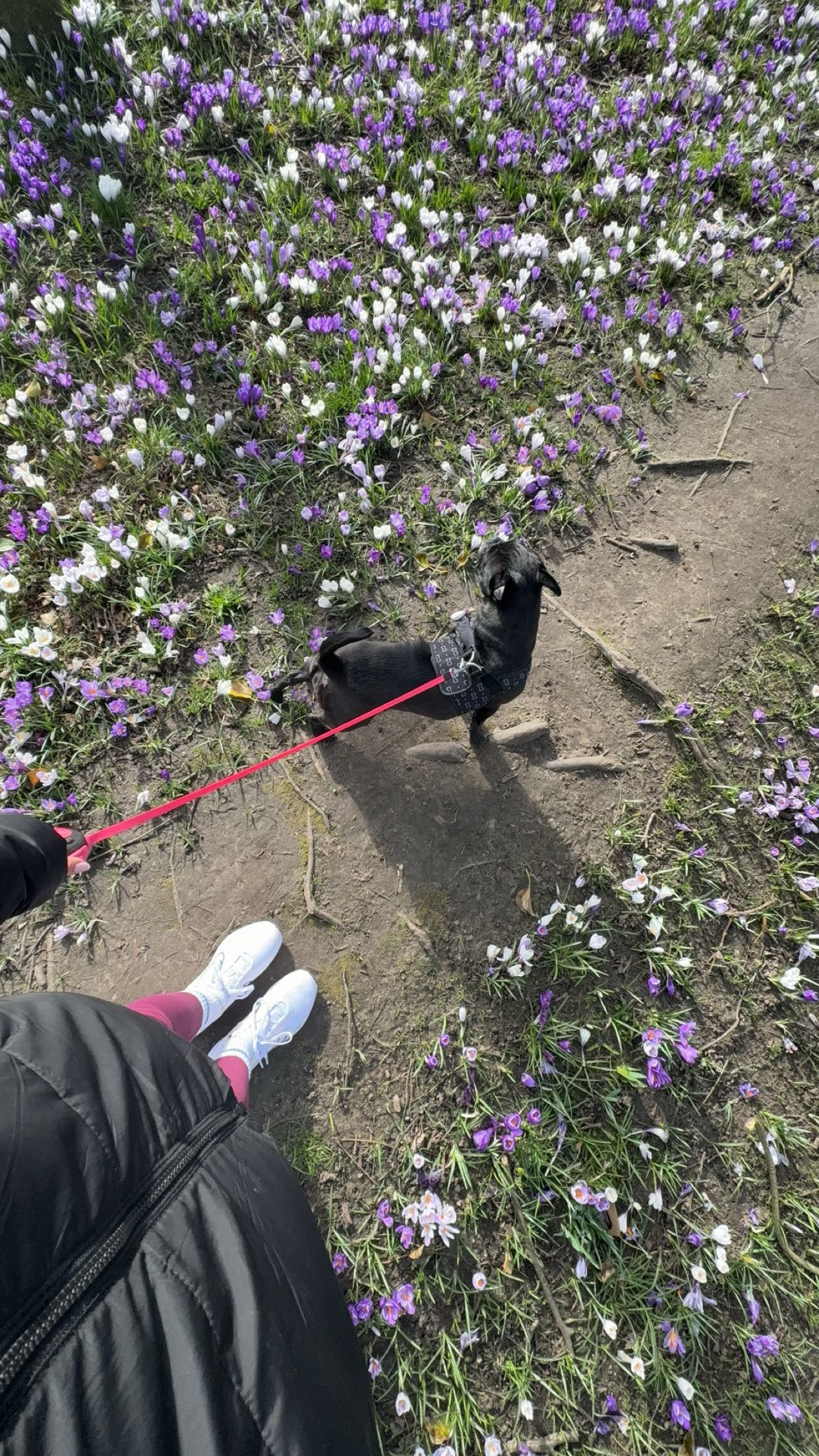 image-14