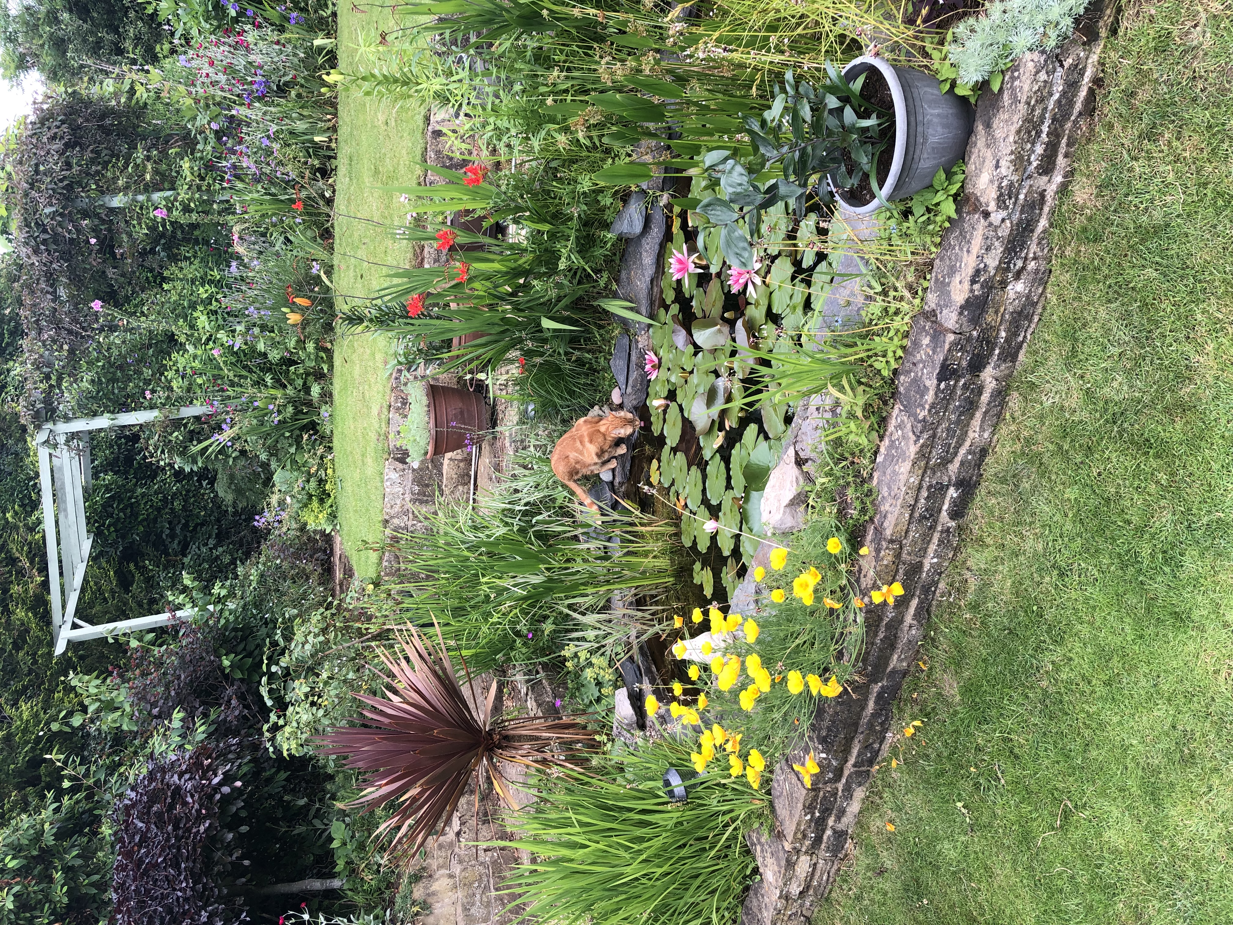 image-18
