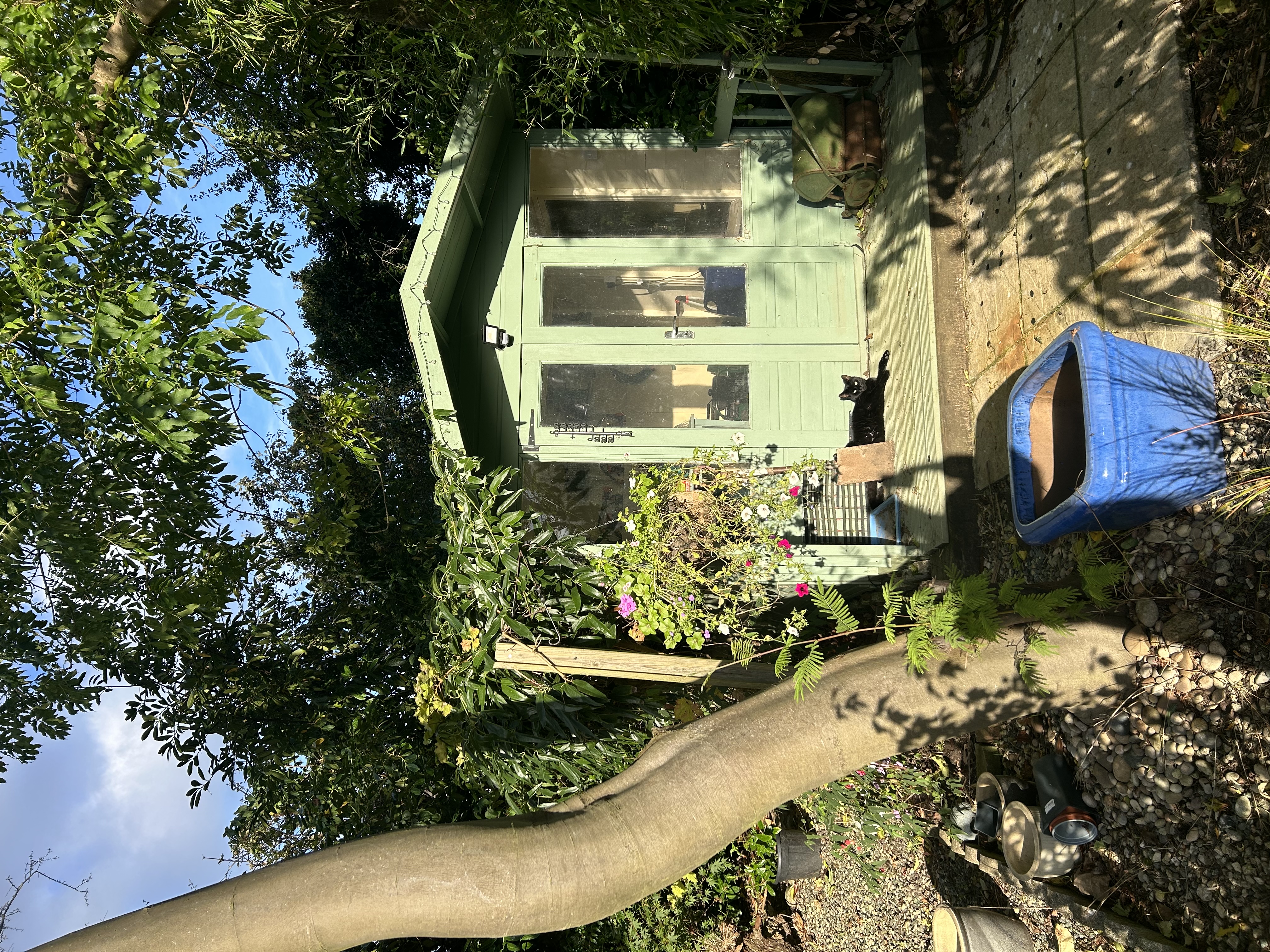 image-20