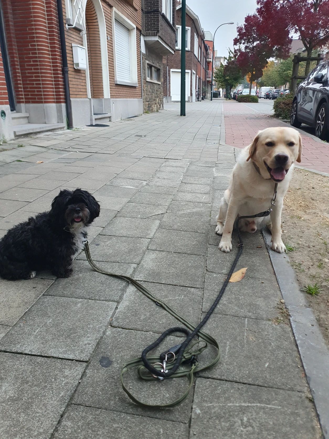 image-38