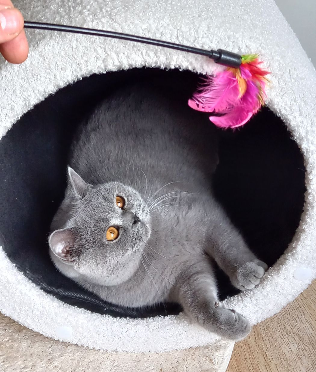 image-13