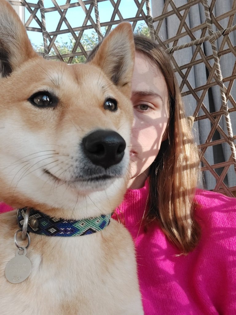 image-6