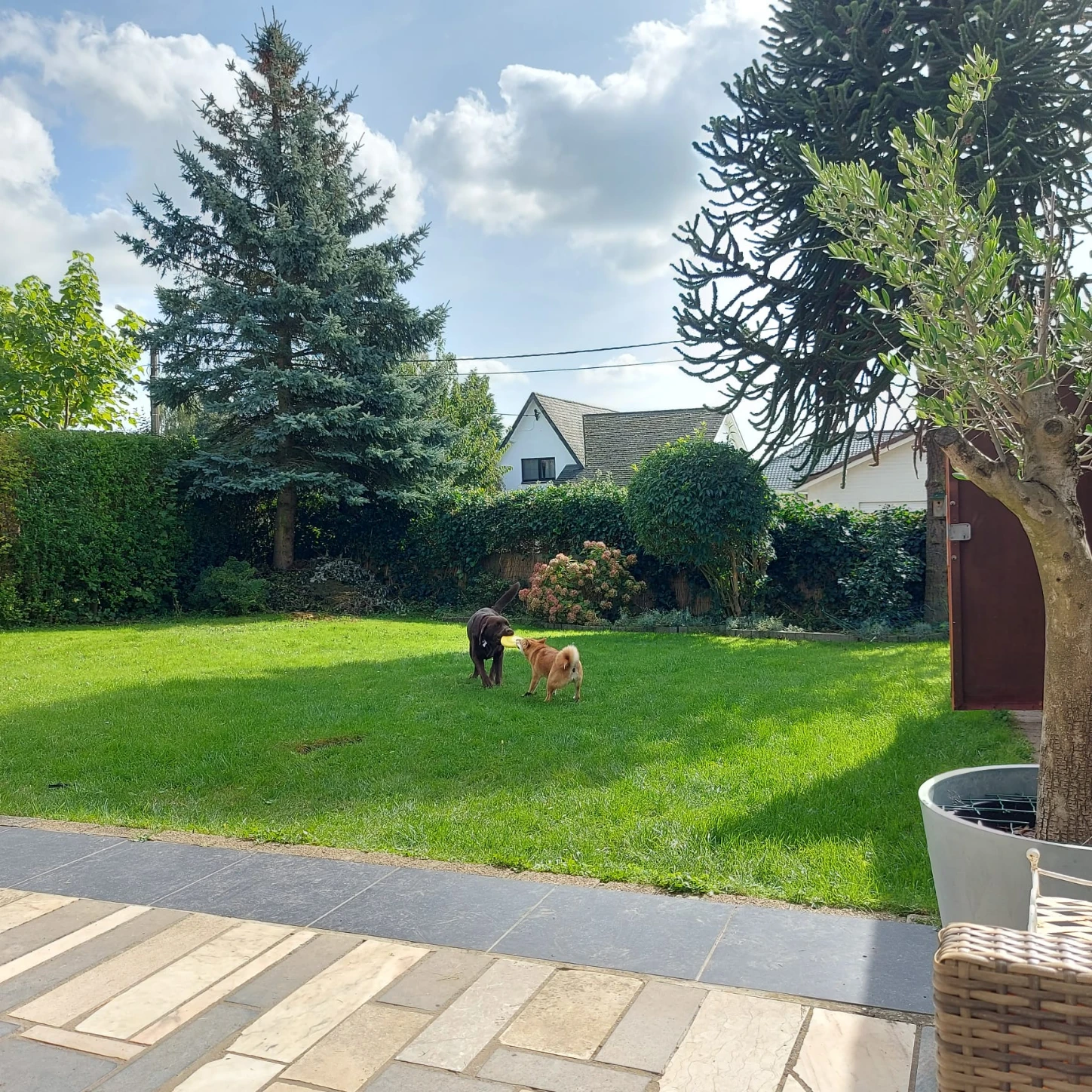 image-12
