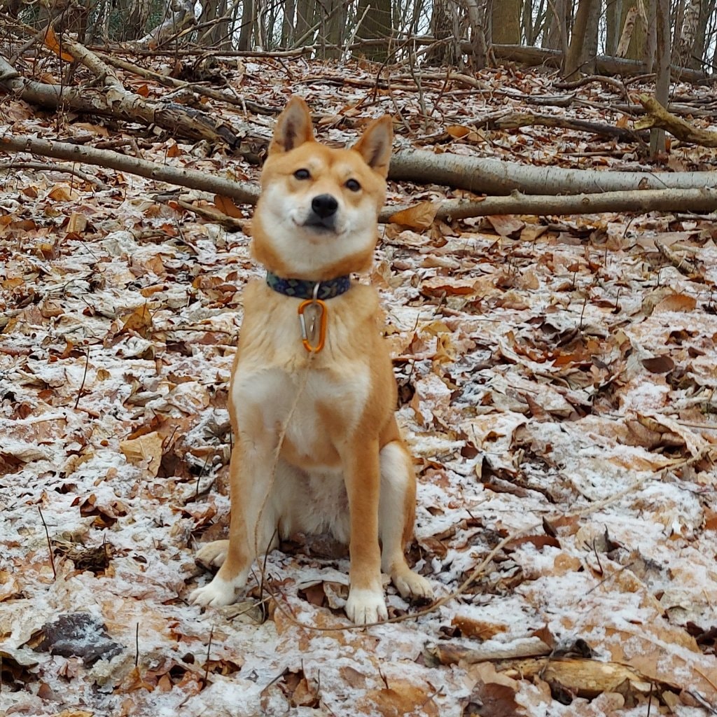 Yuki