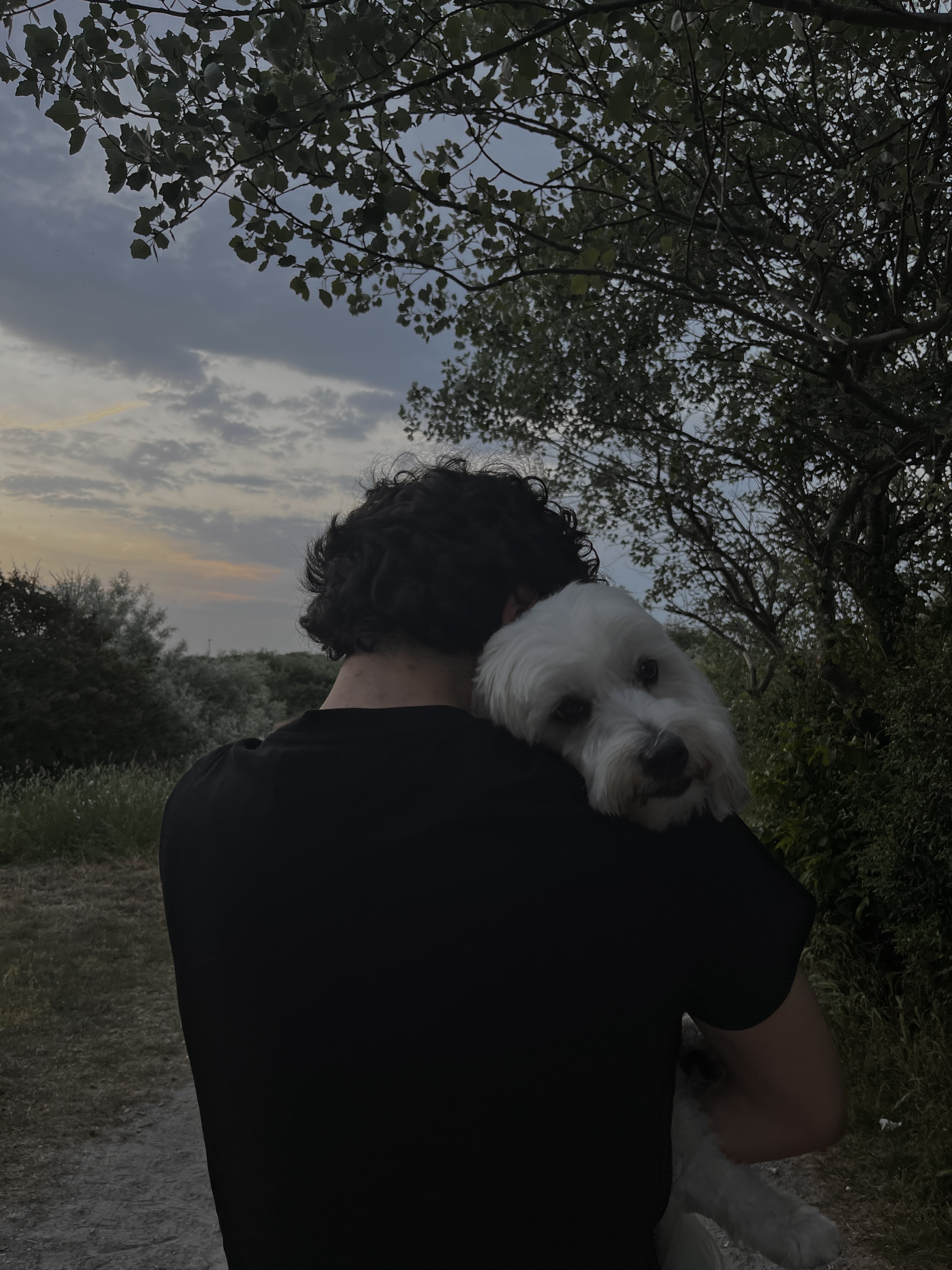 image-11