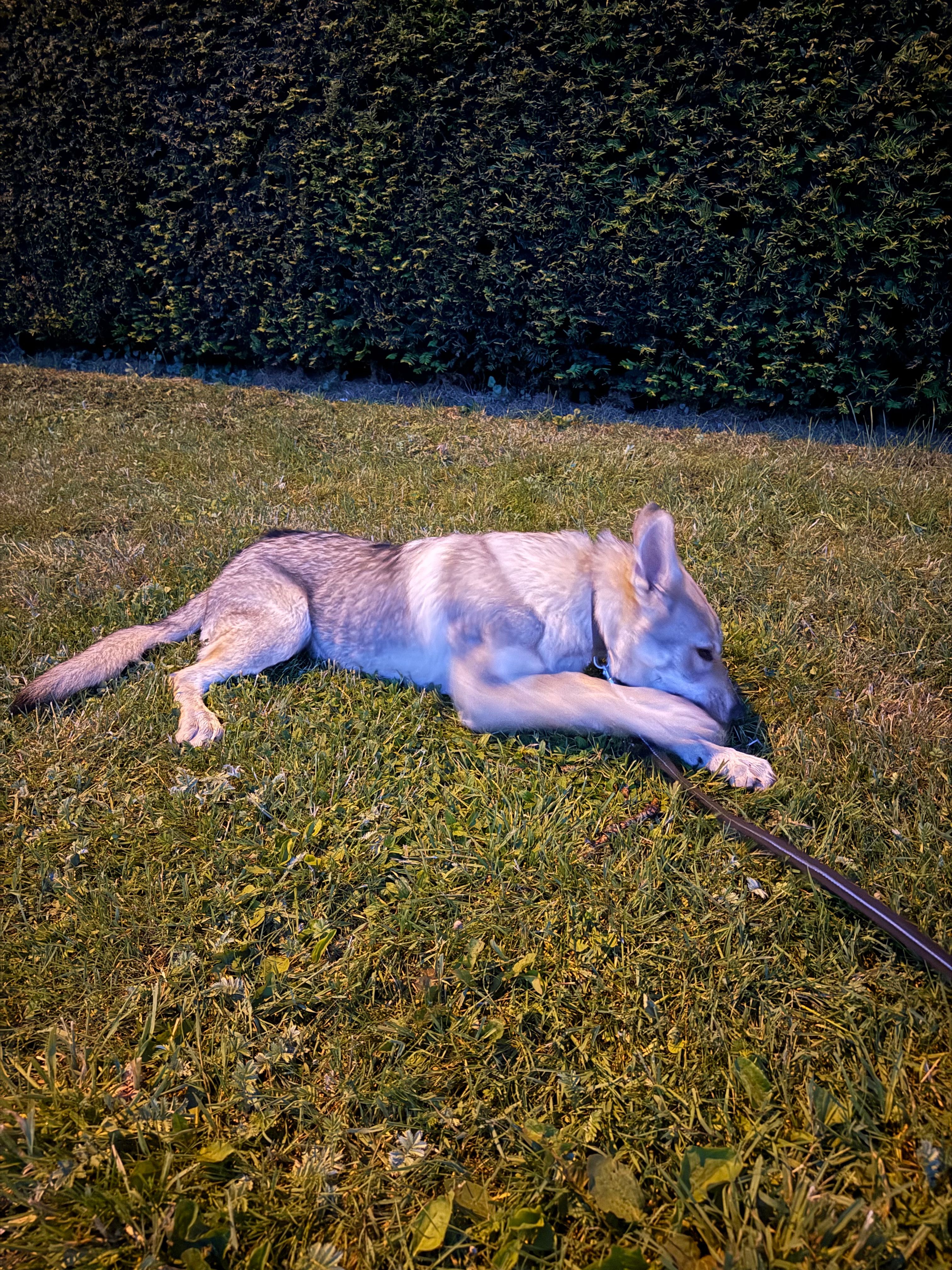 image-5