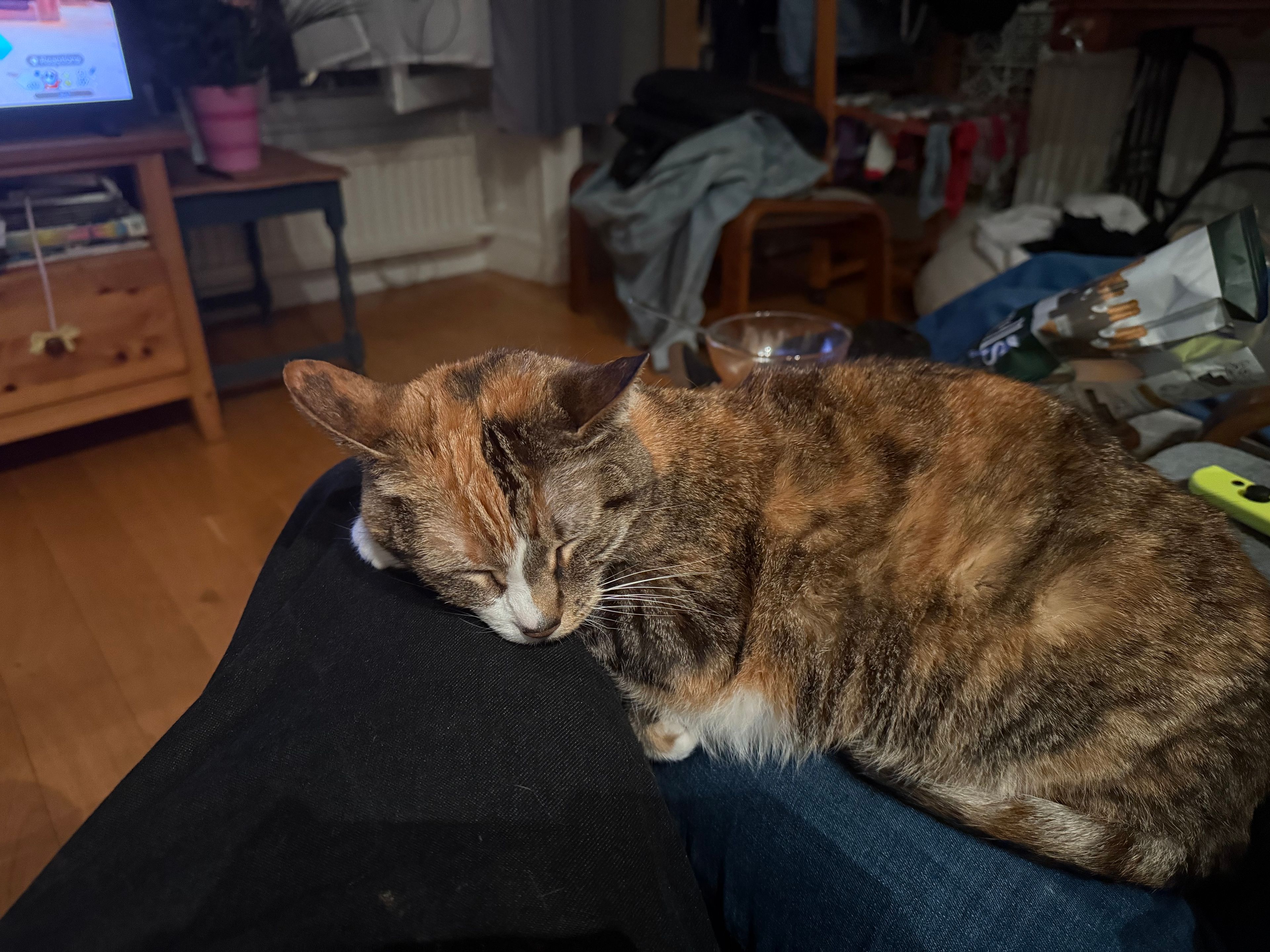 image-6