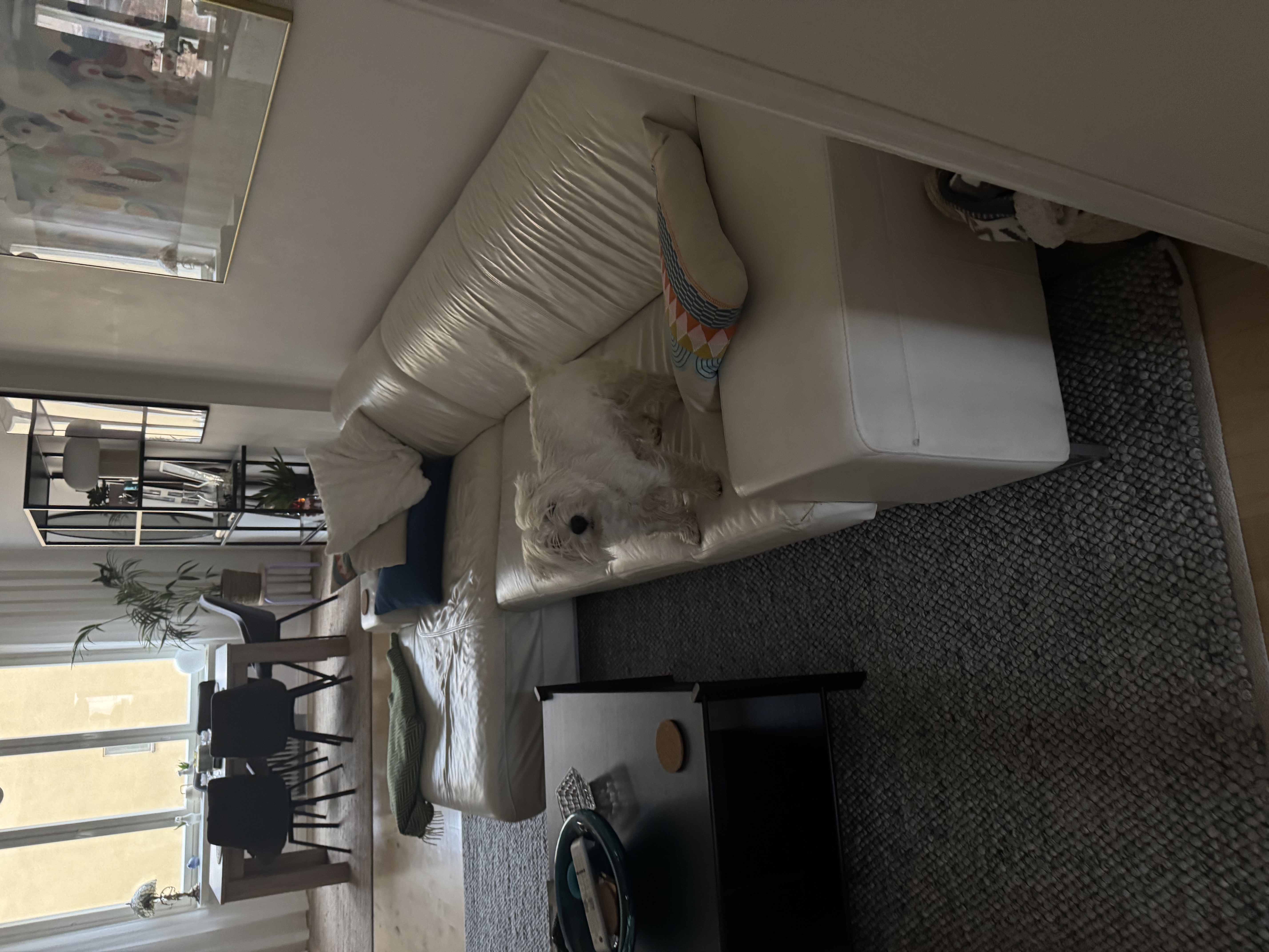 image-8