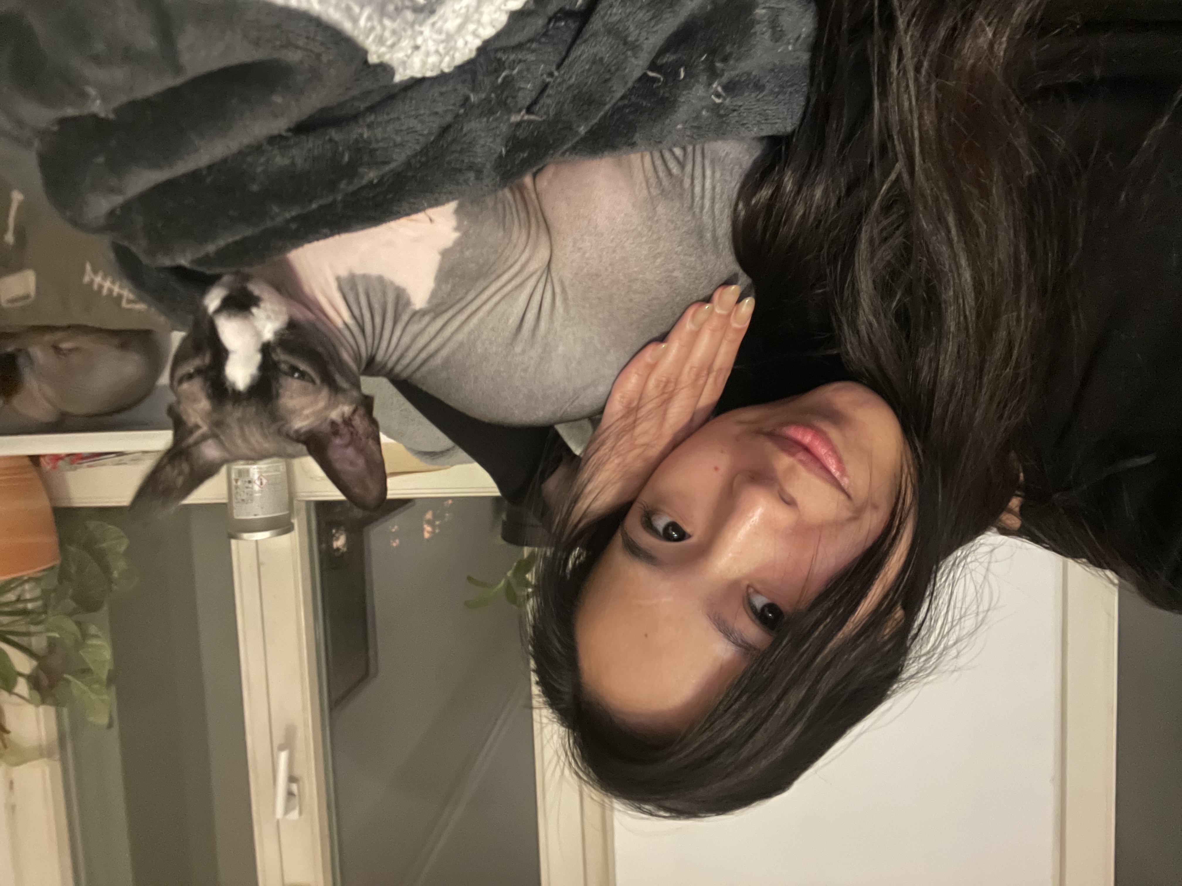 image-14