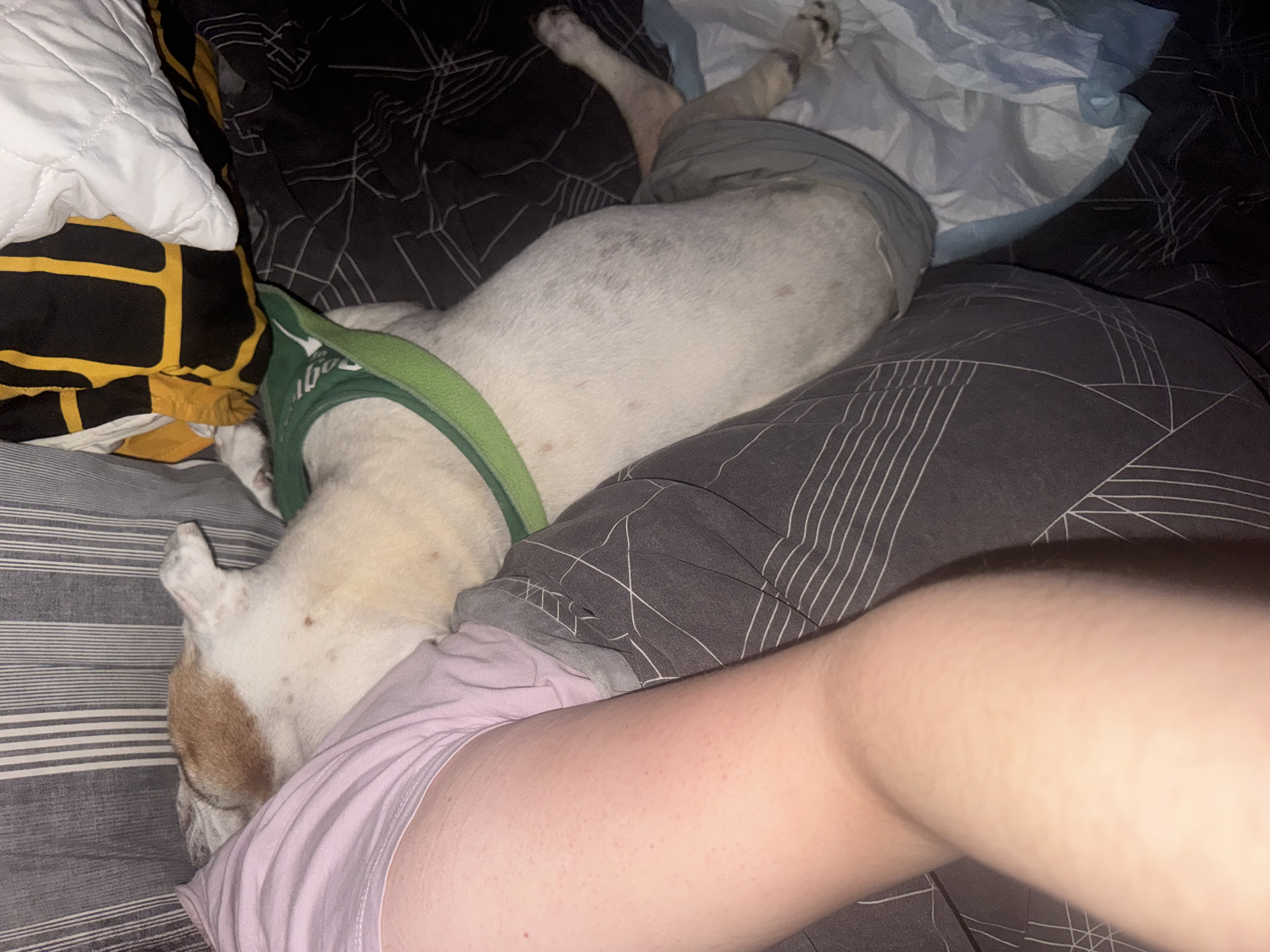 image-7