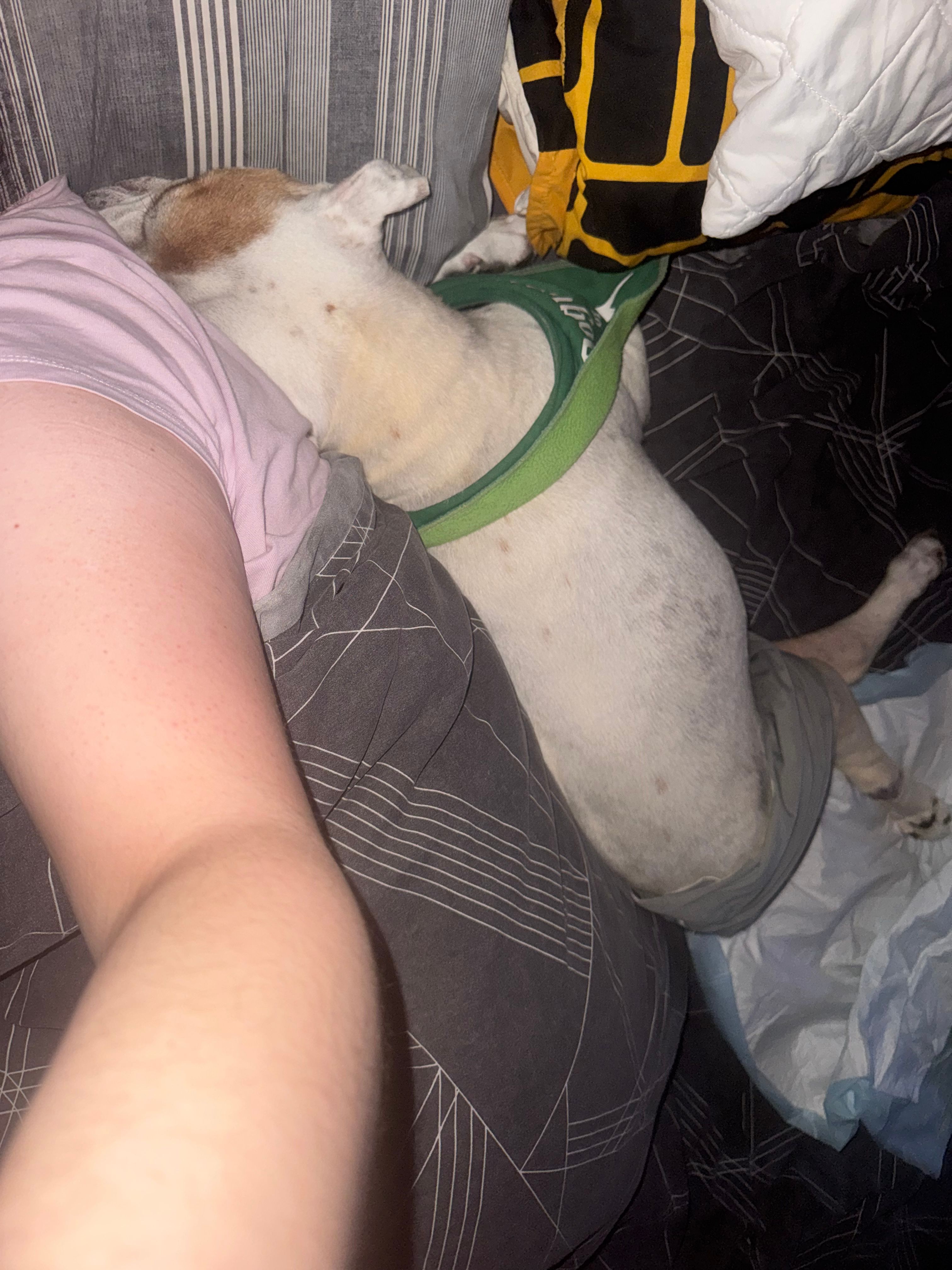 image-7