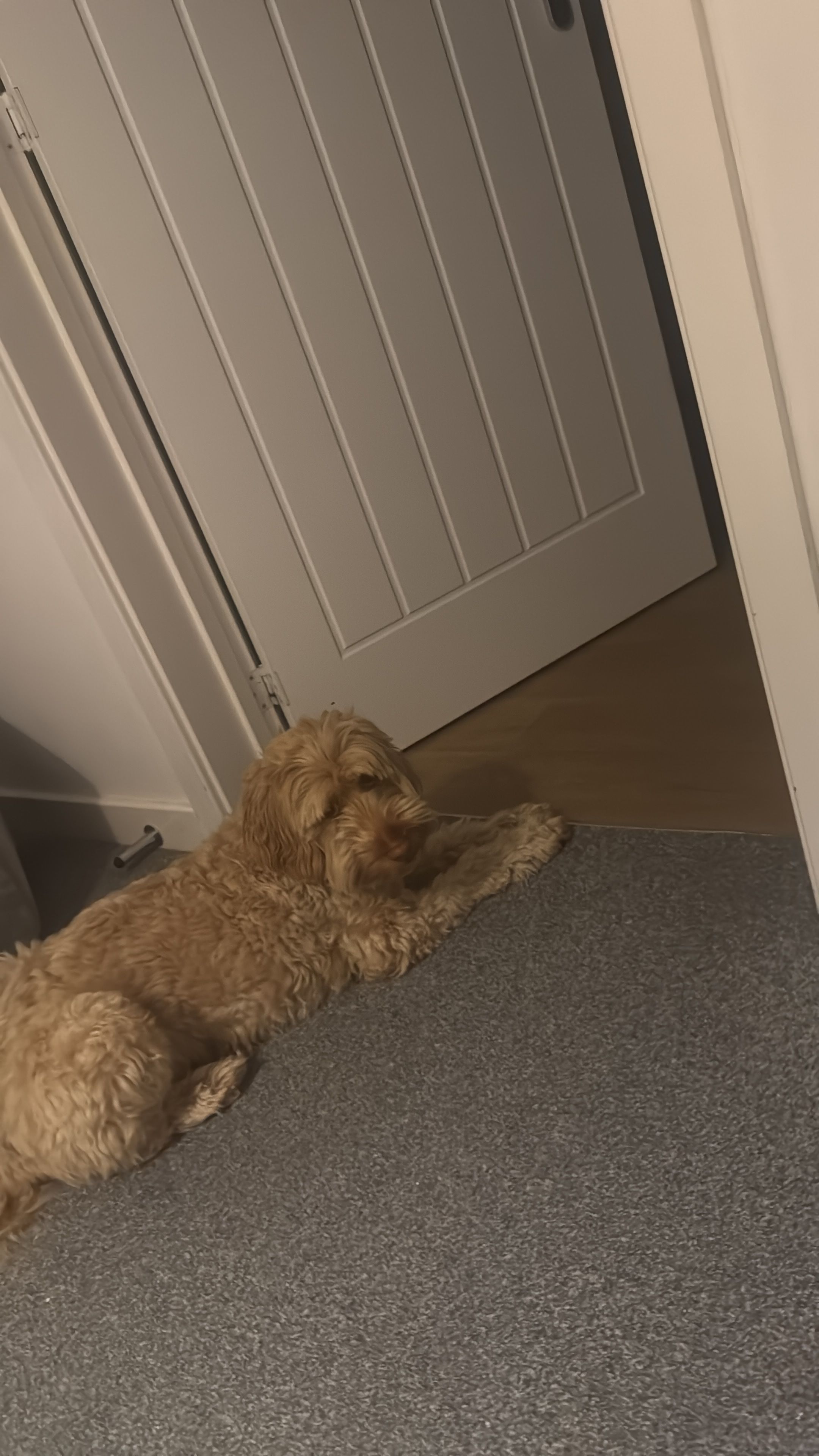 image-13