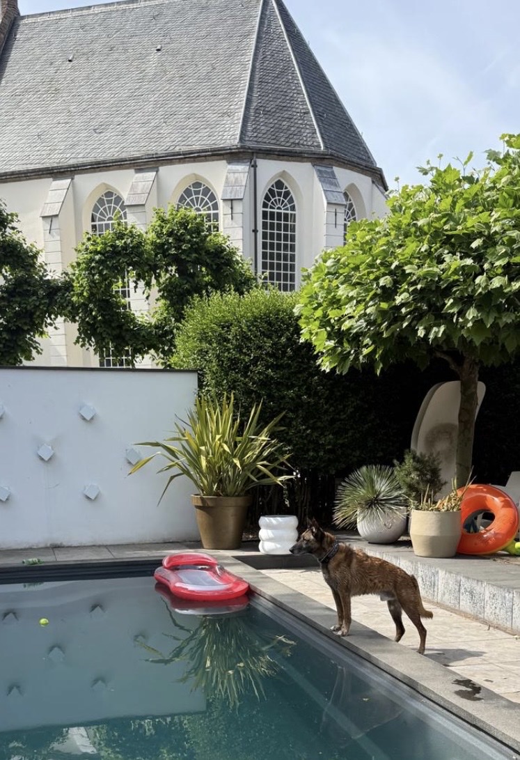 image-10