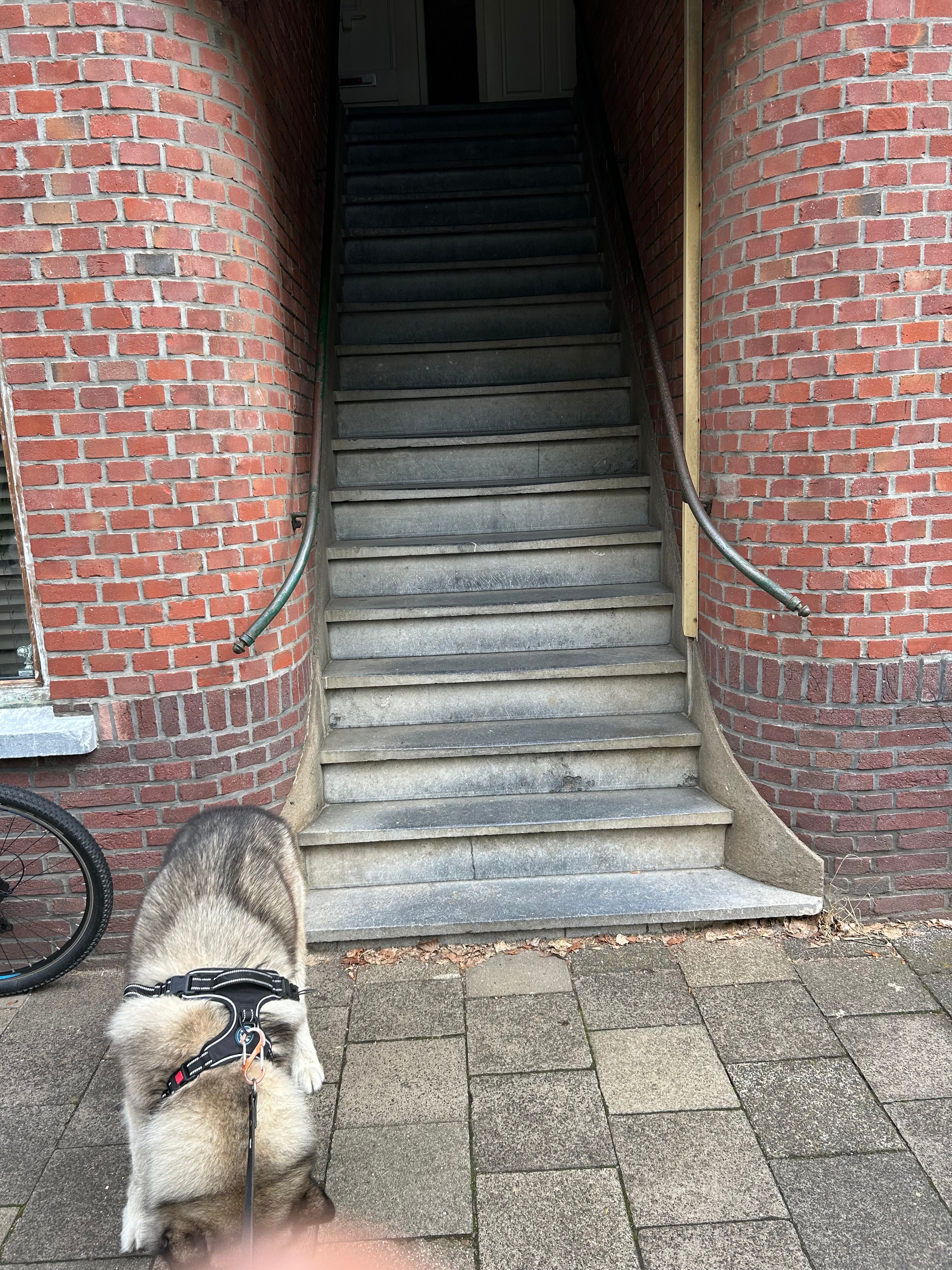 image-16