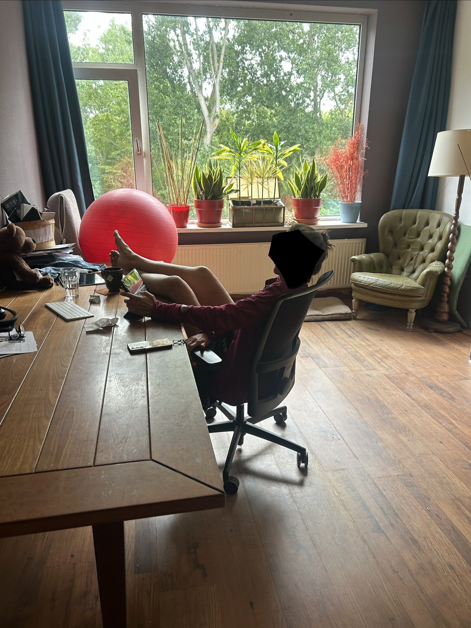image-12