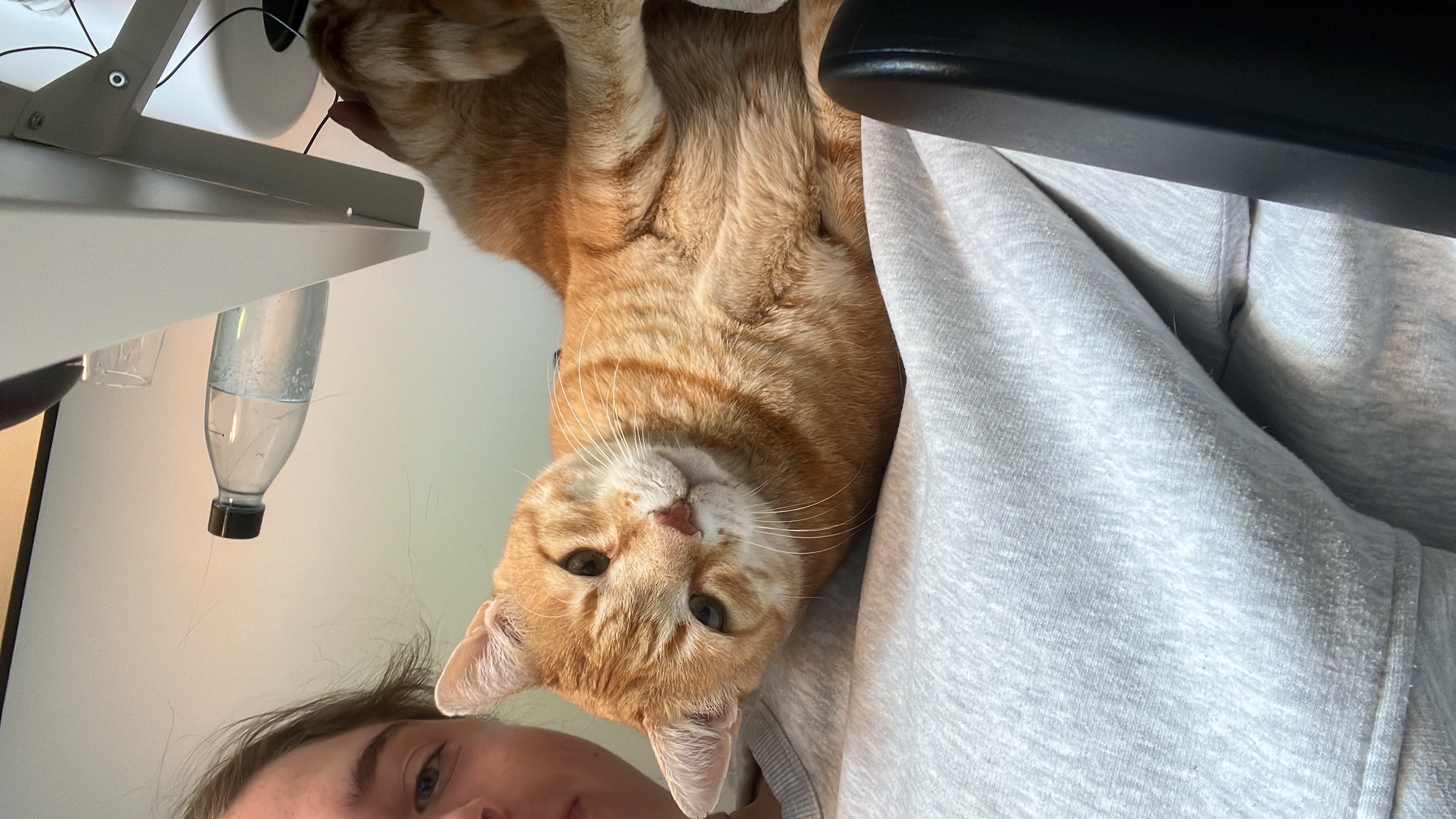 image-6