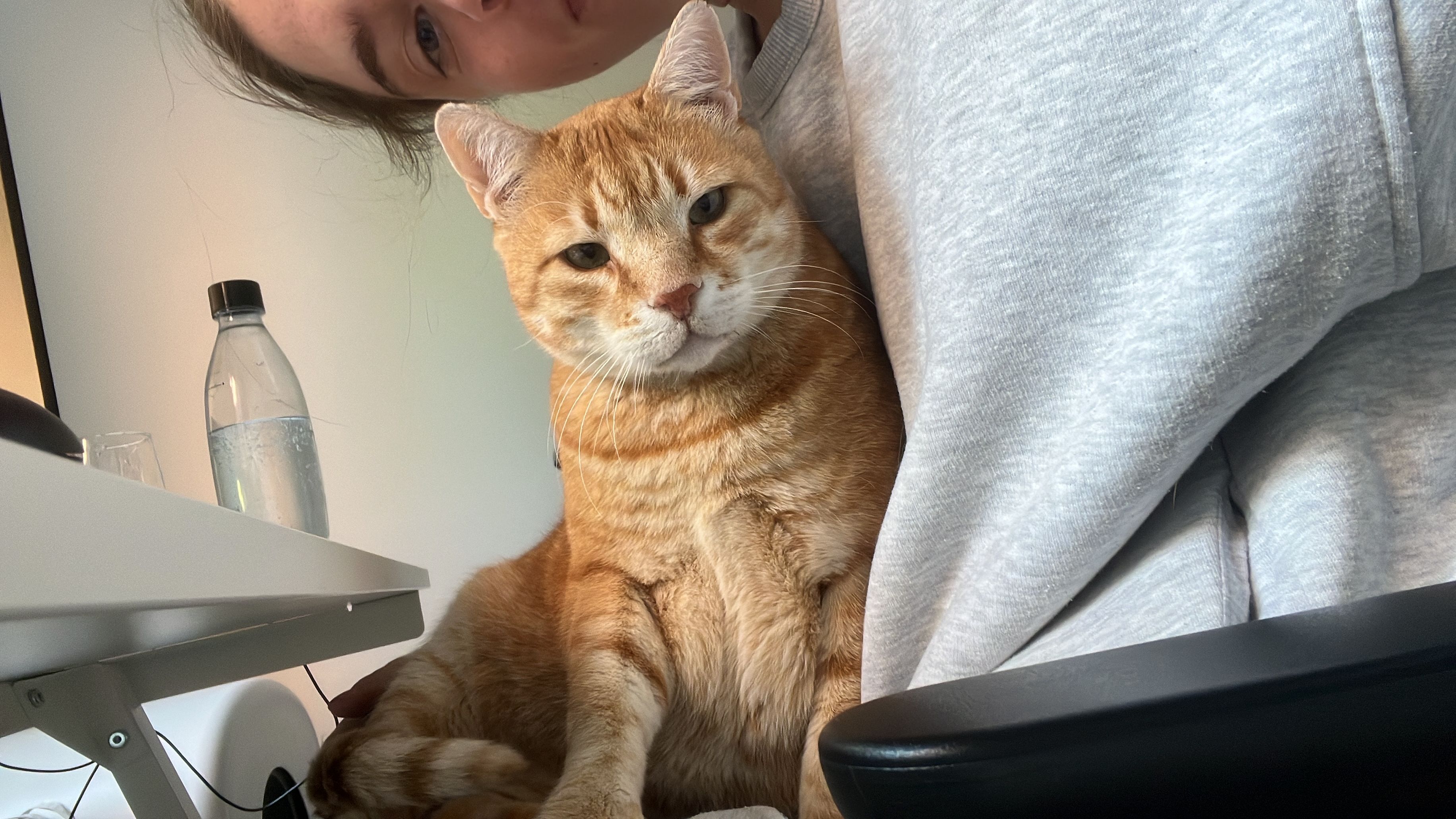 image-6