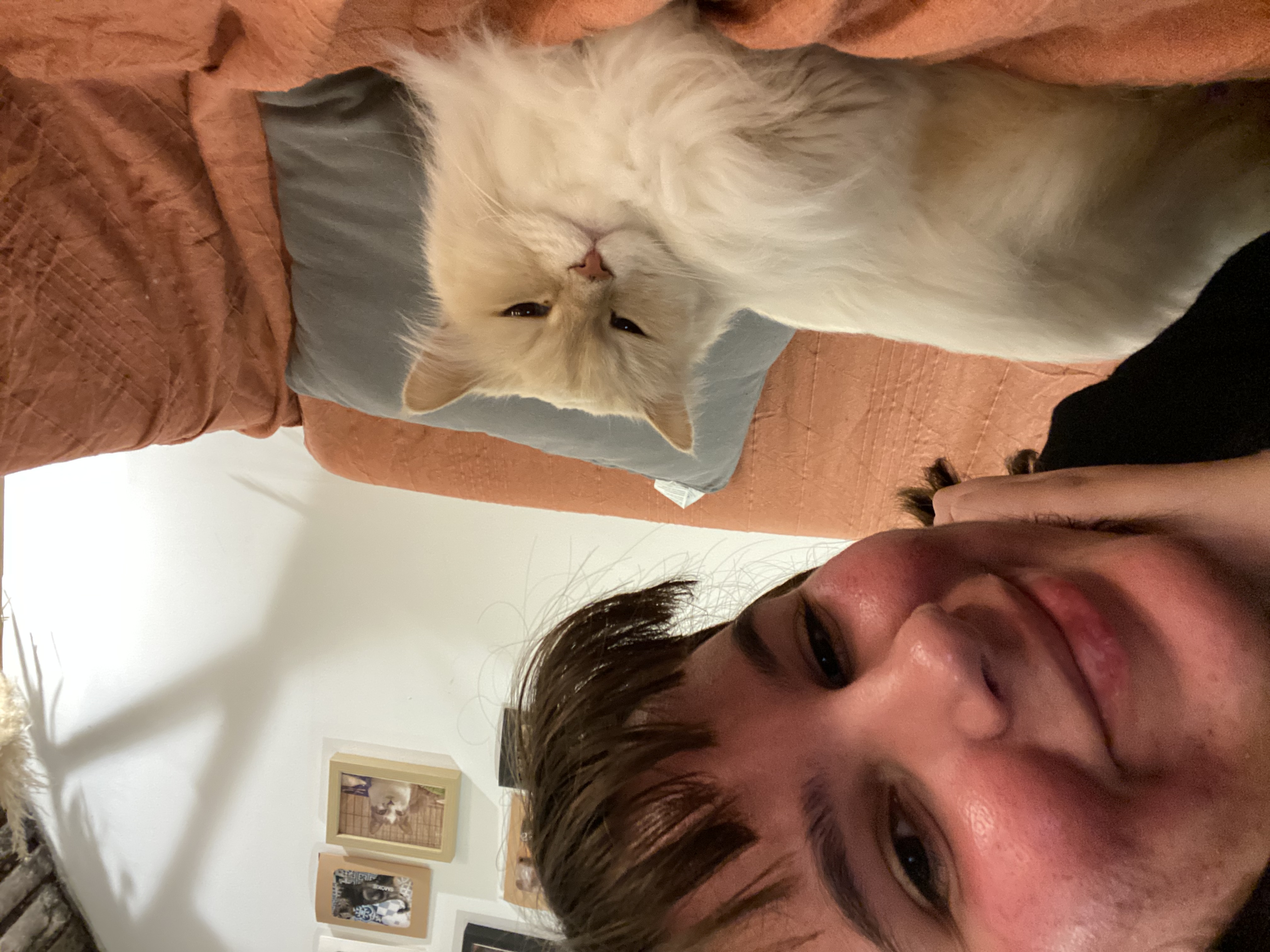 image-7