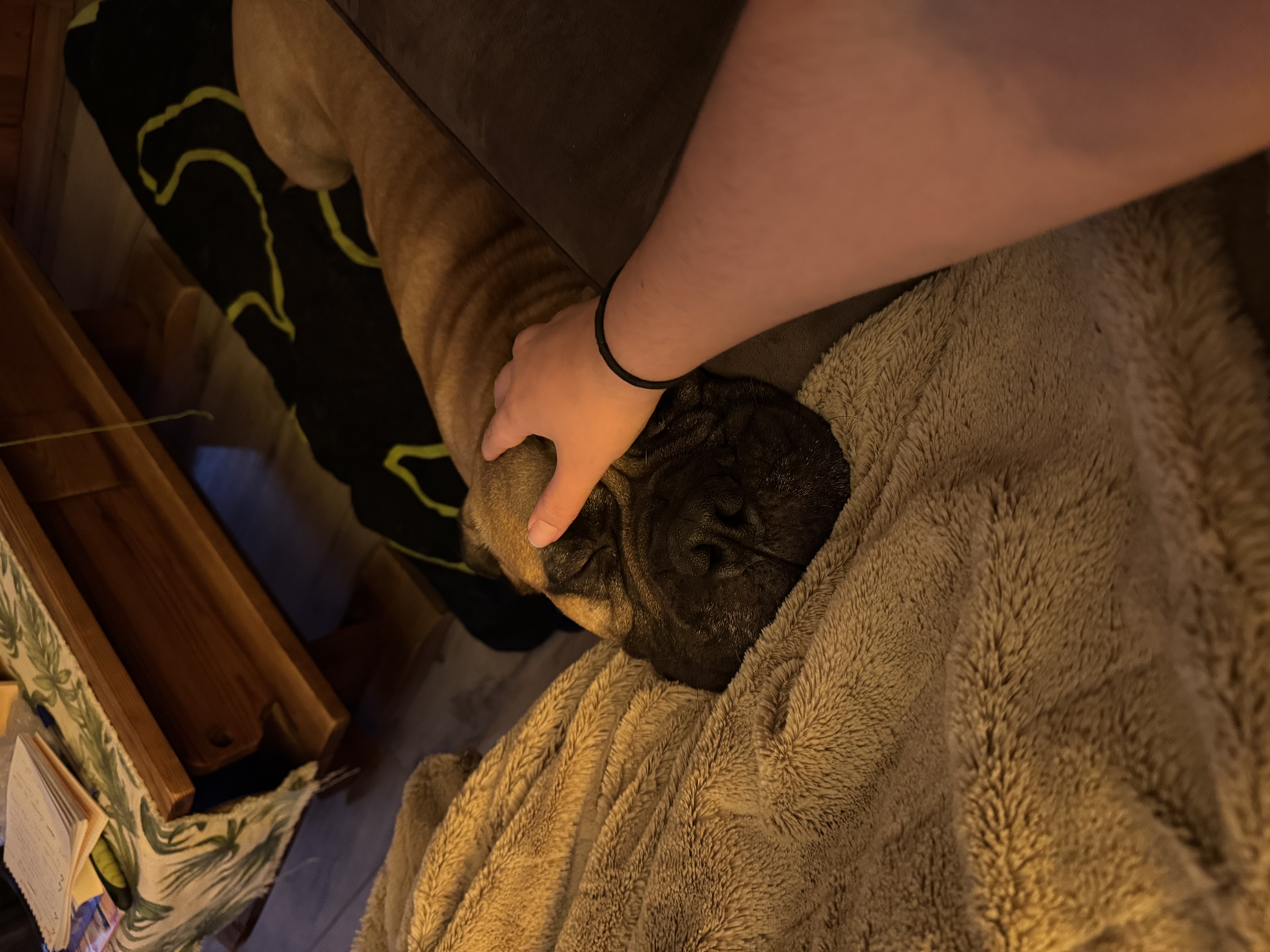 image-8