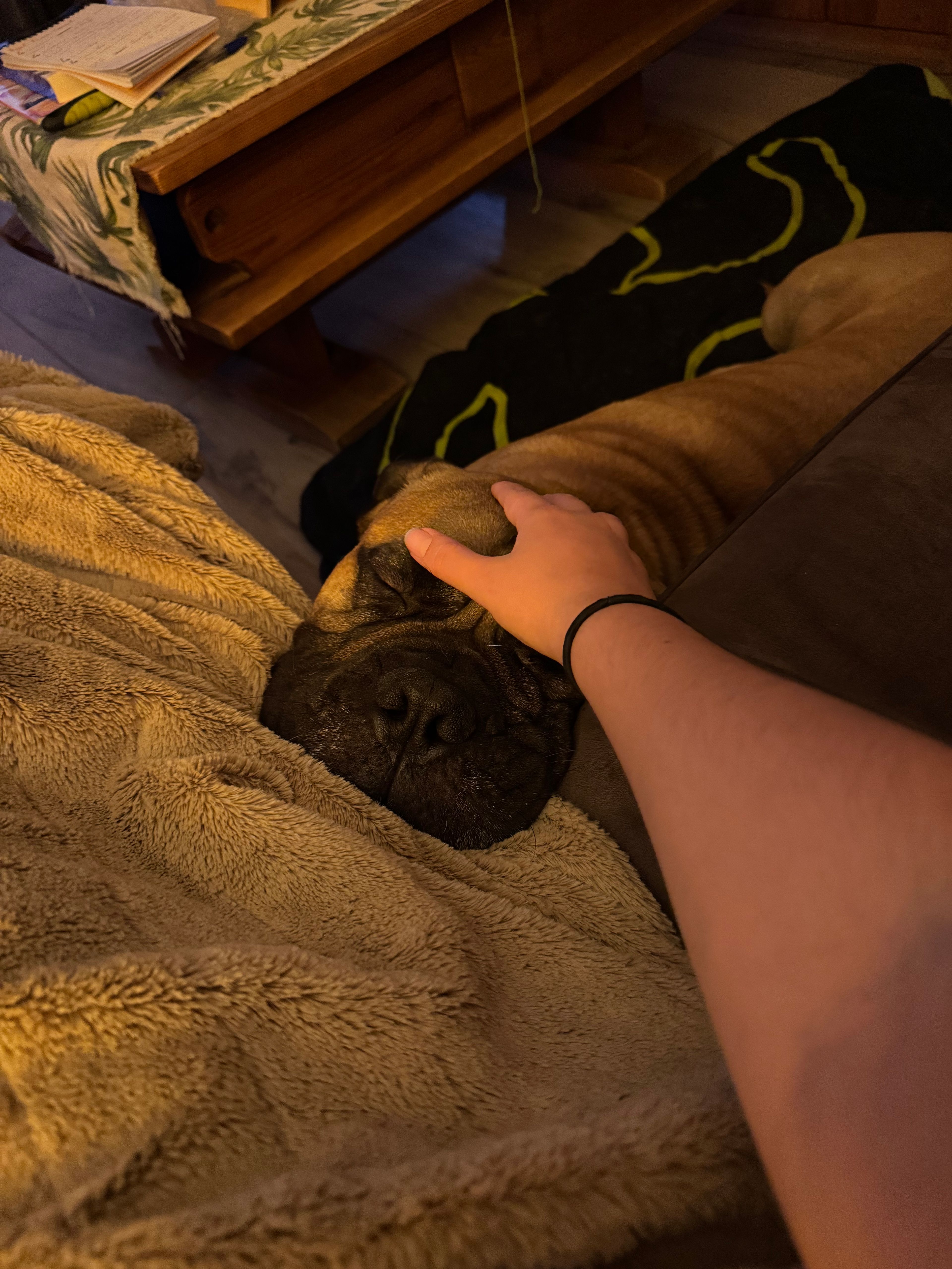 image-8