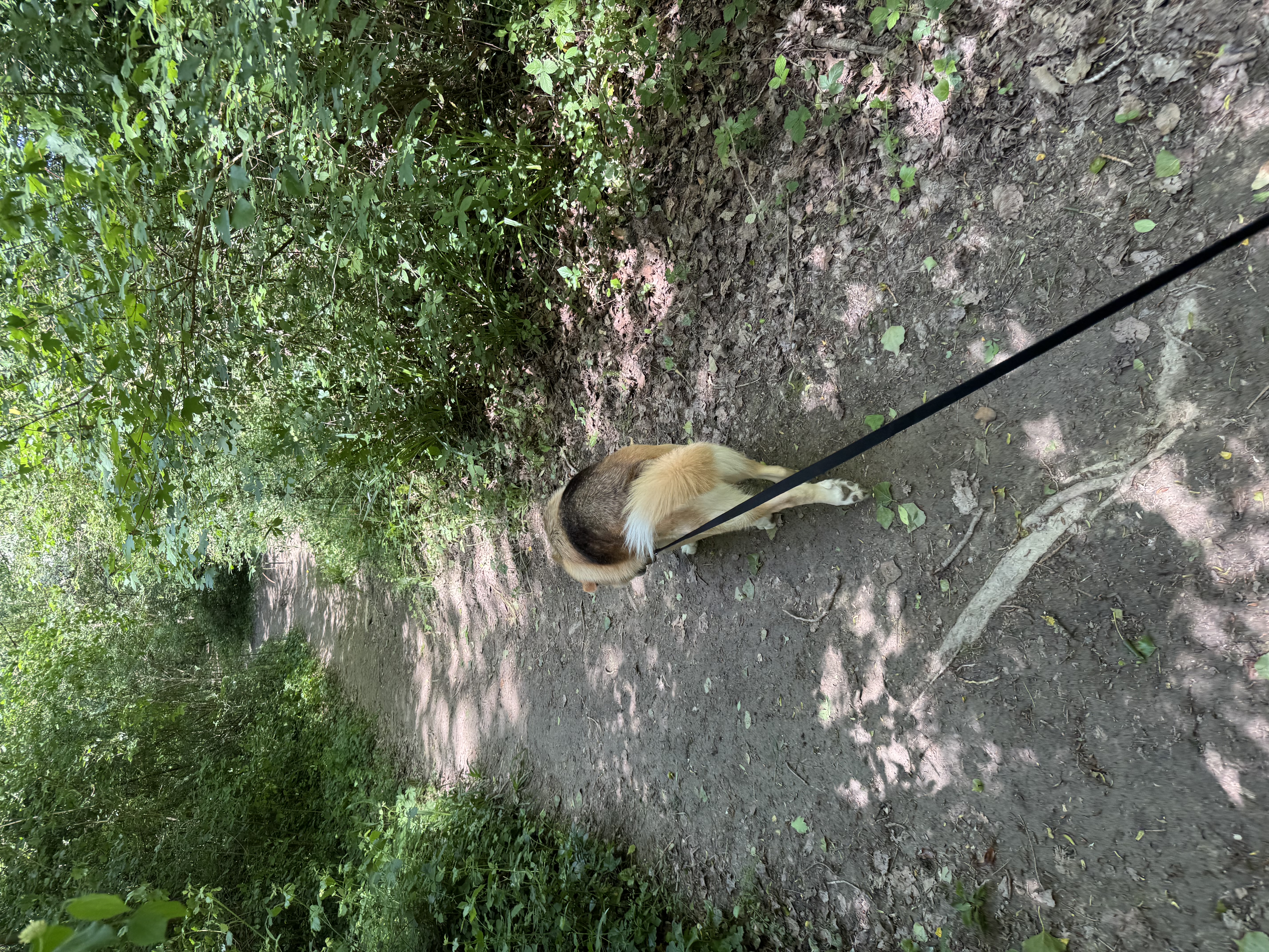 image-9
