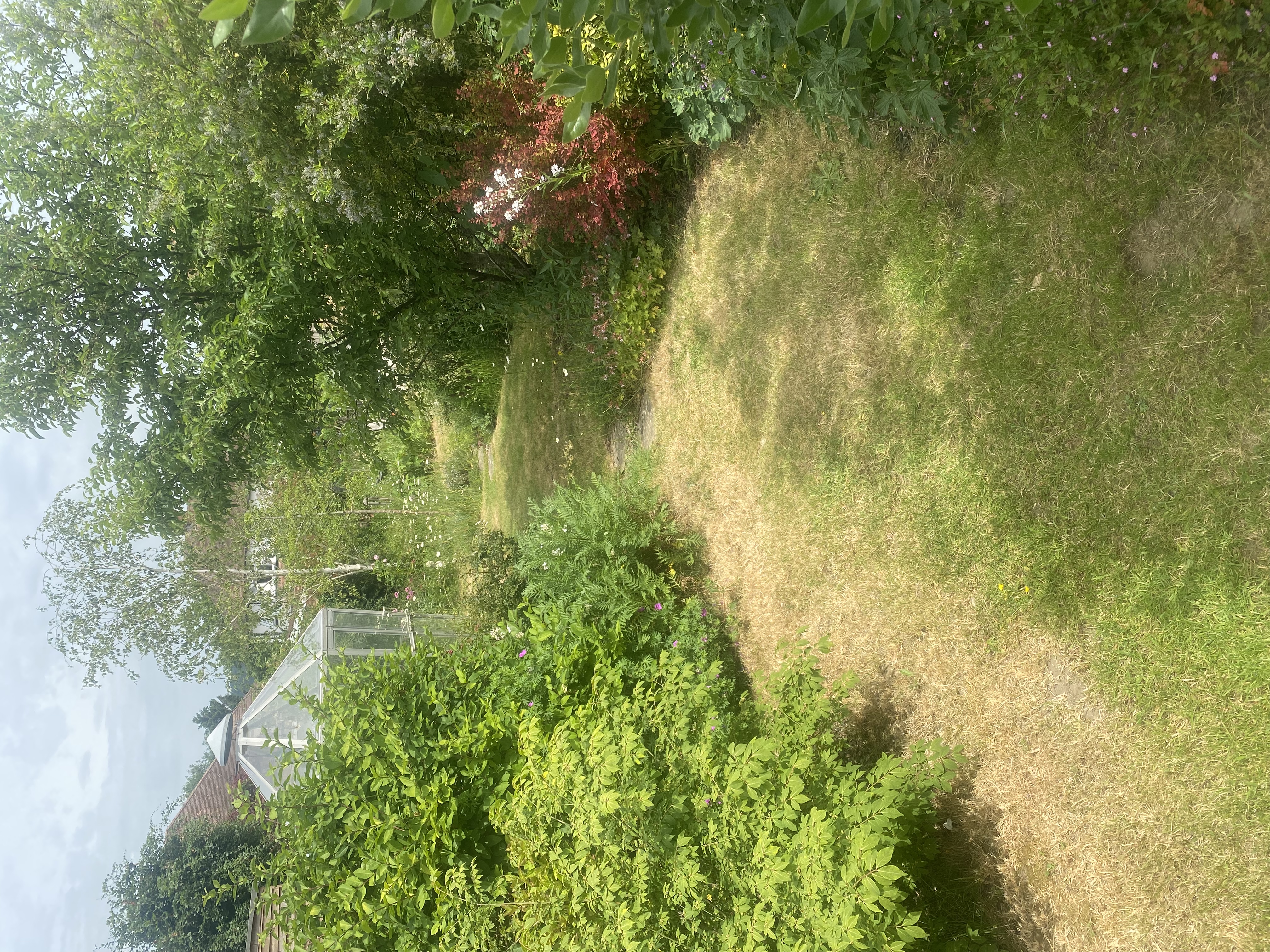 image-19