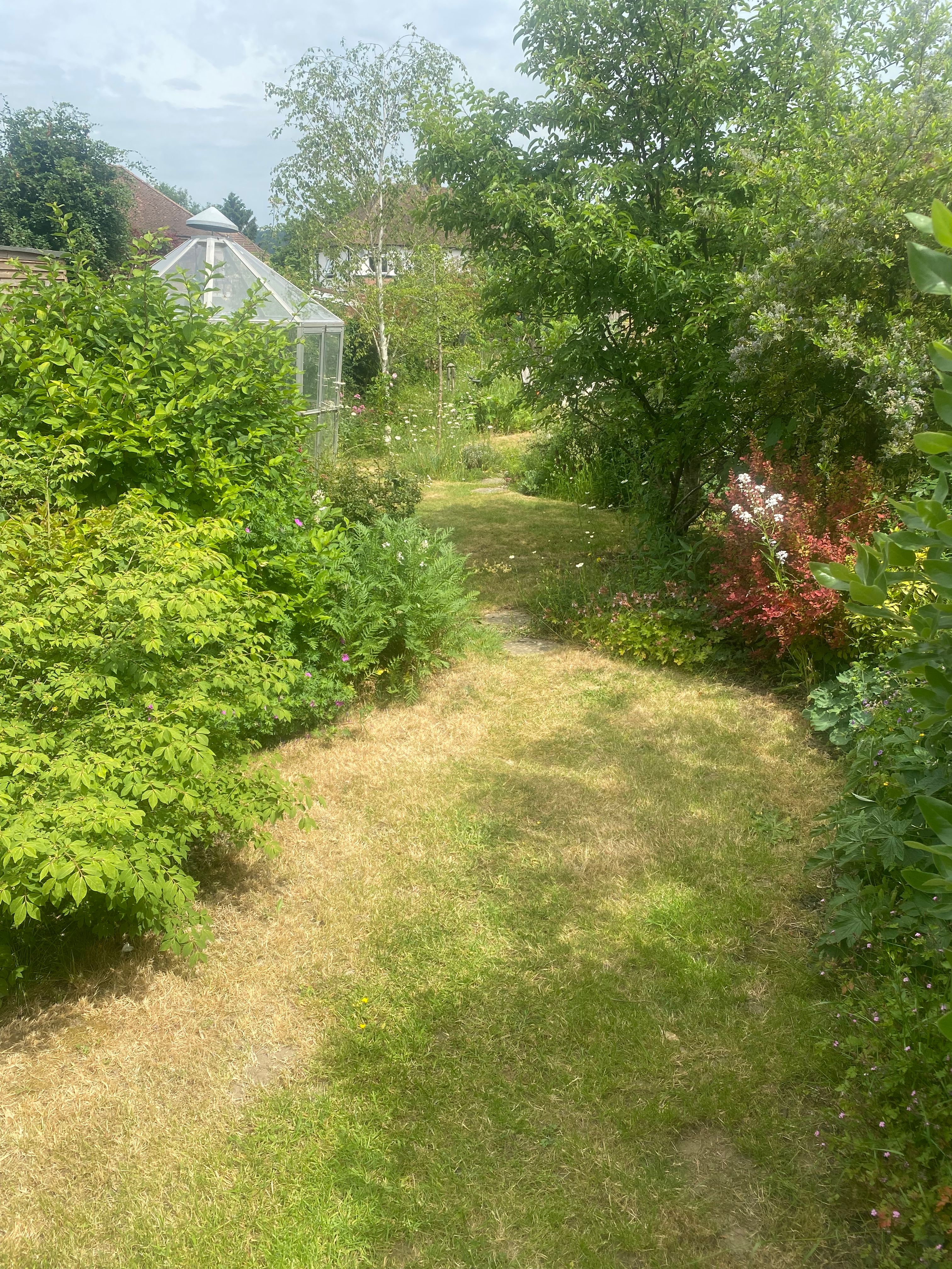 image-19
