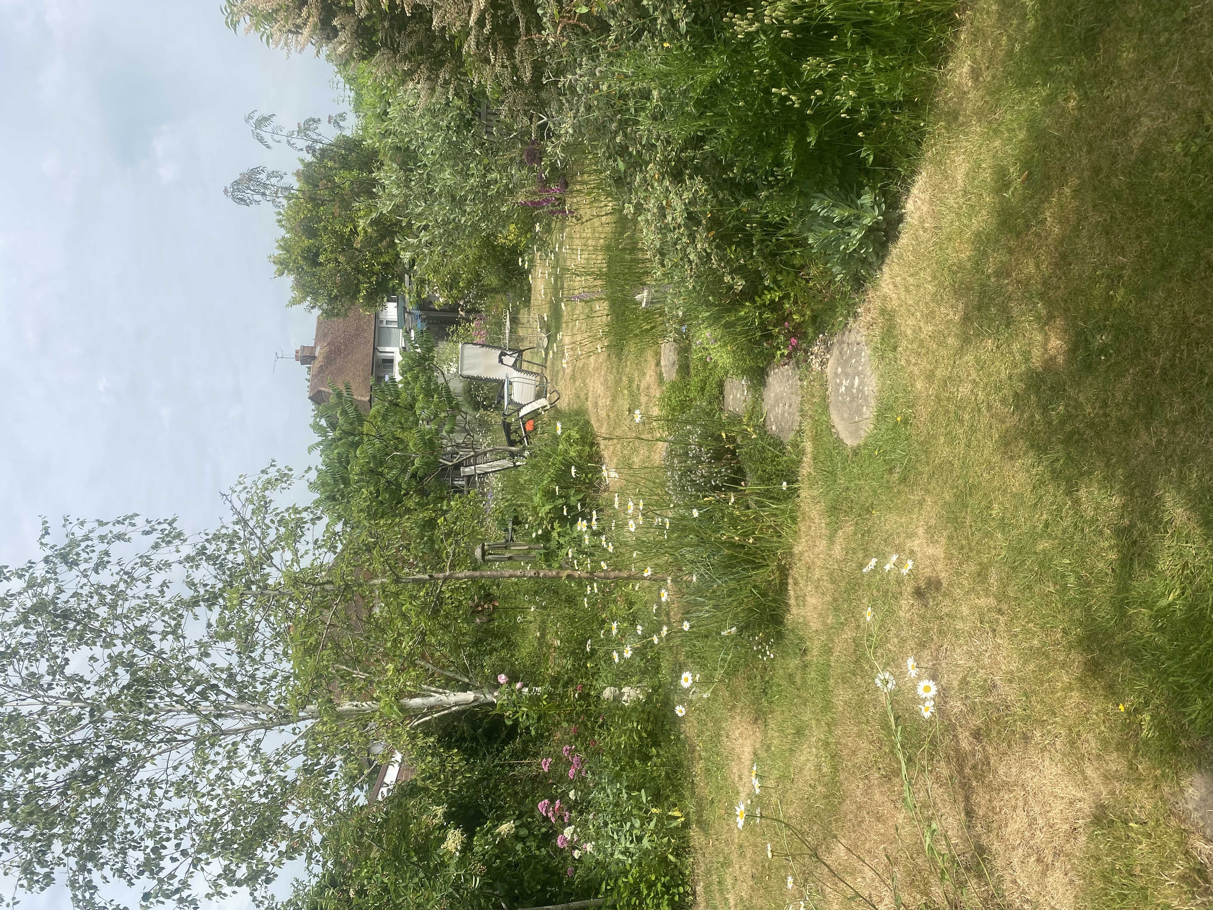 image-17