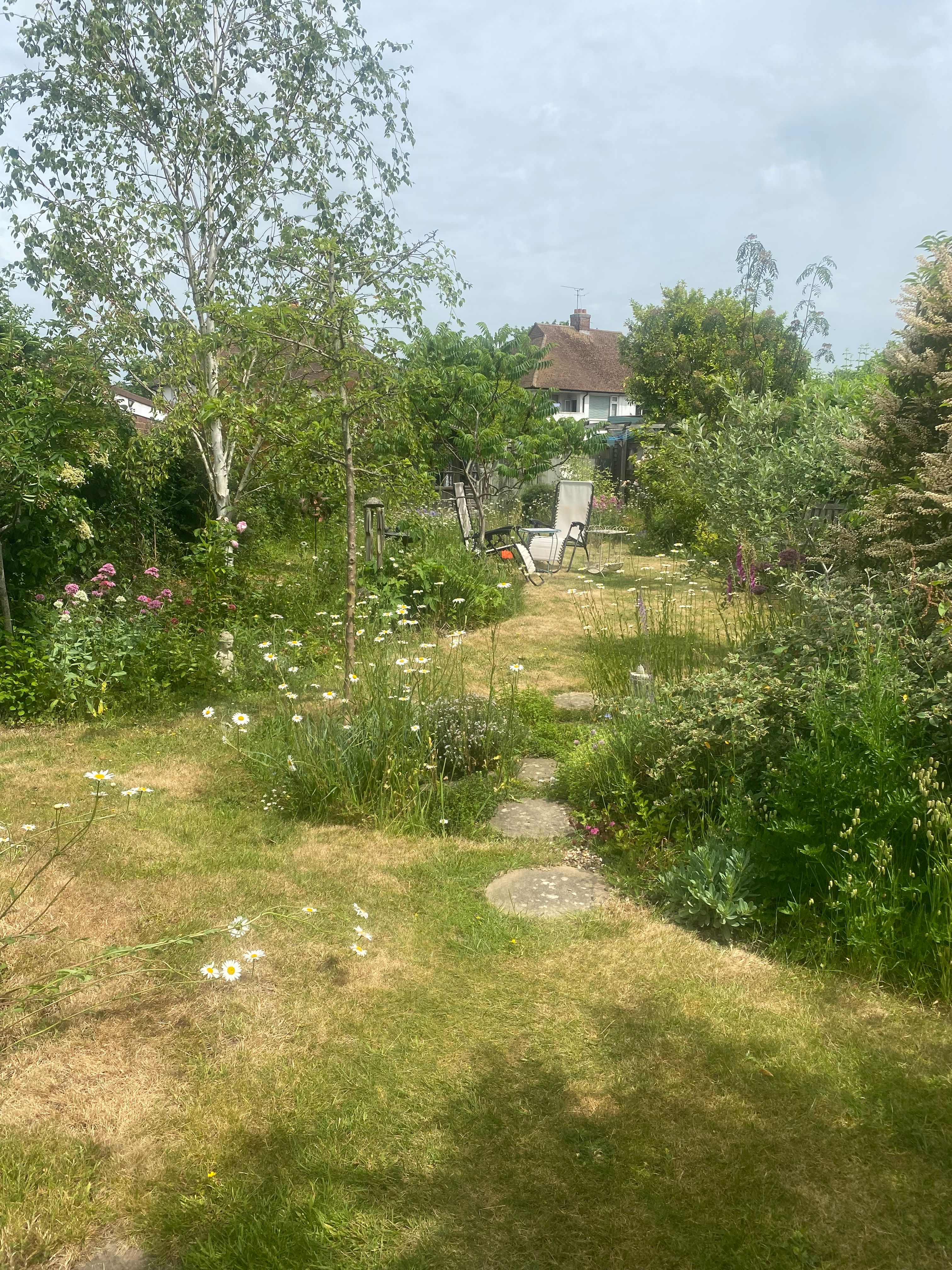 image-17