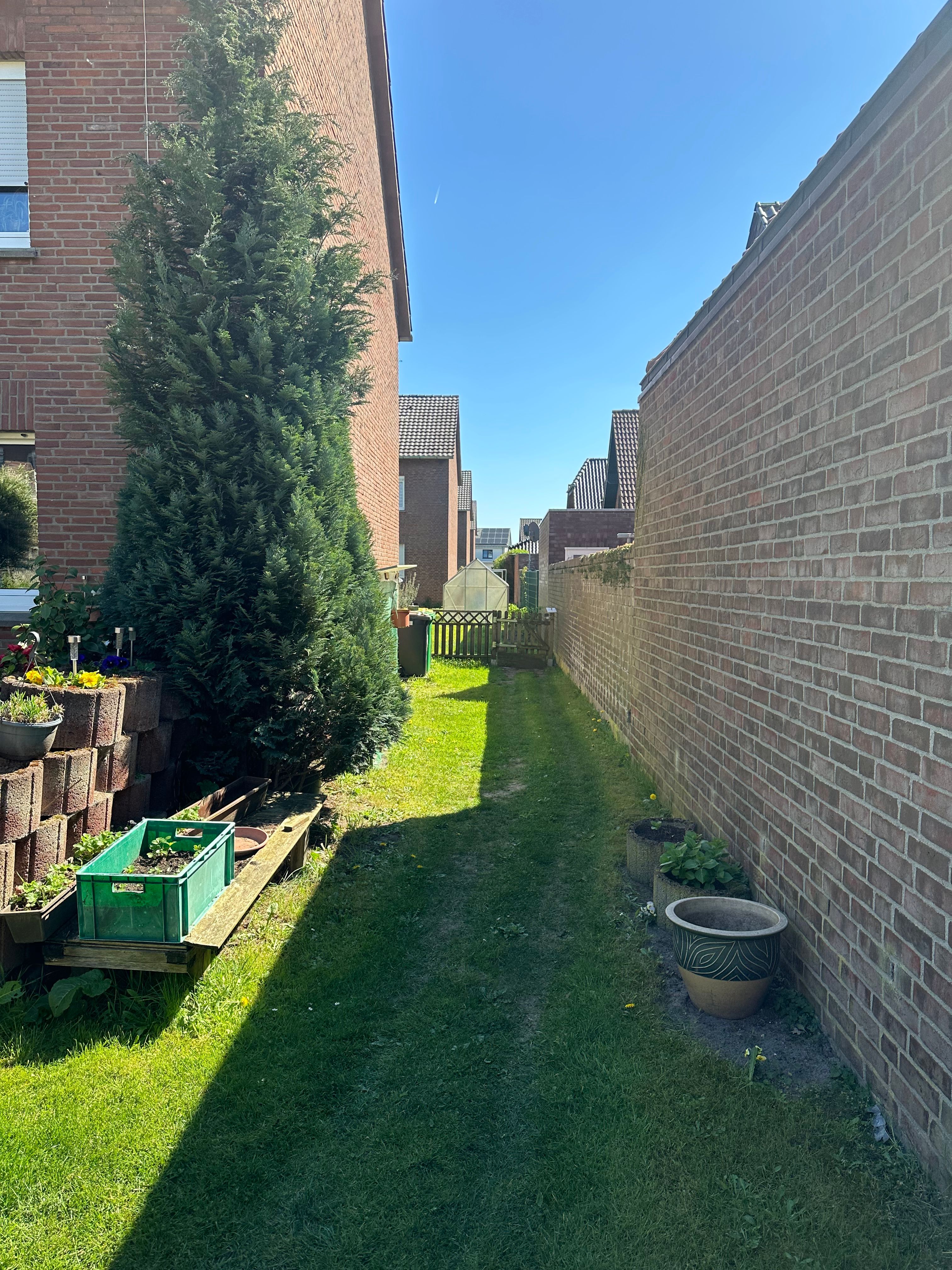 image-14