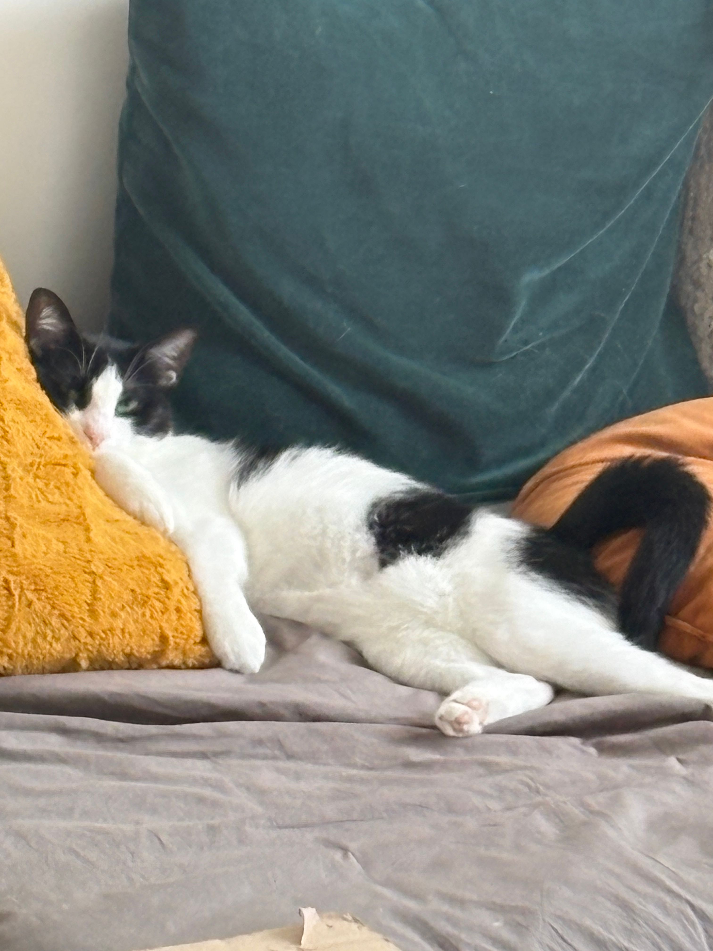 image-8