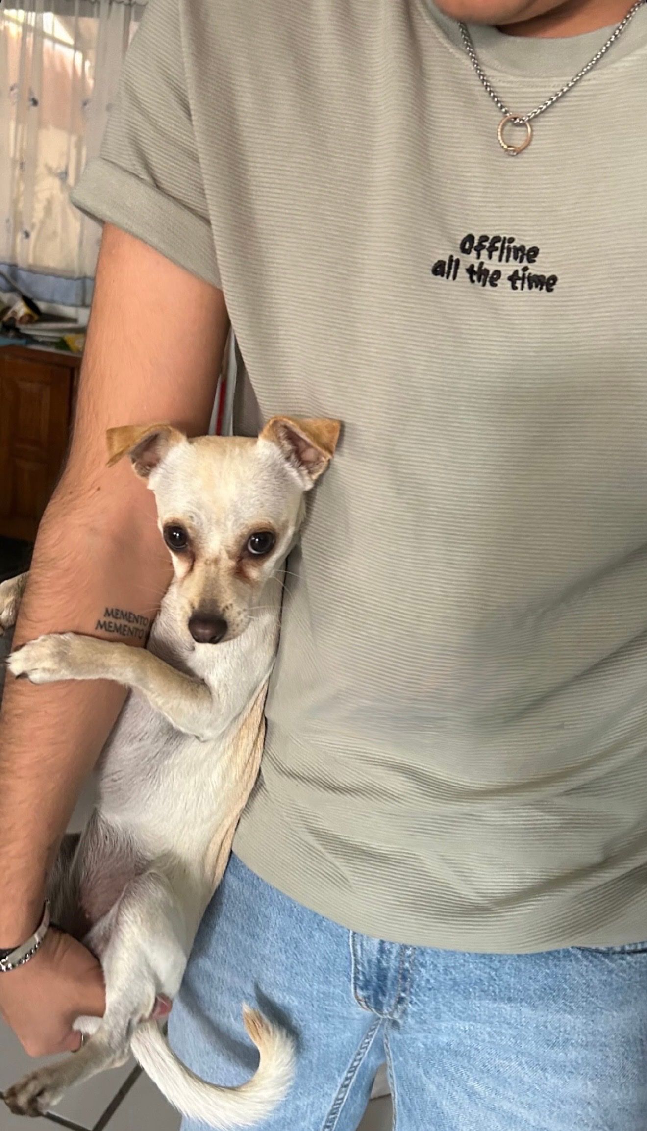 image-9