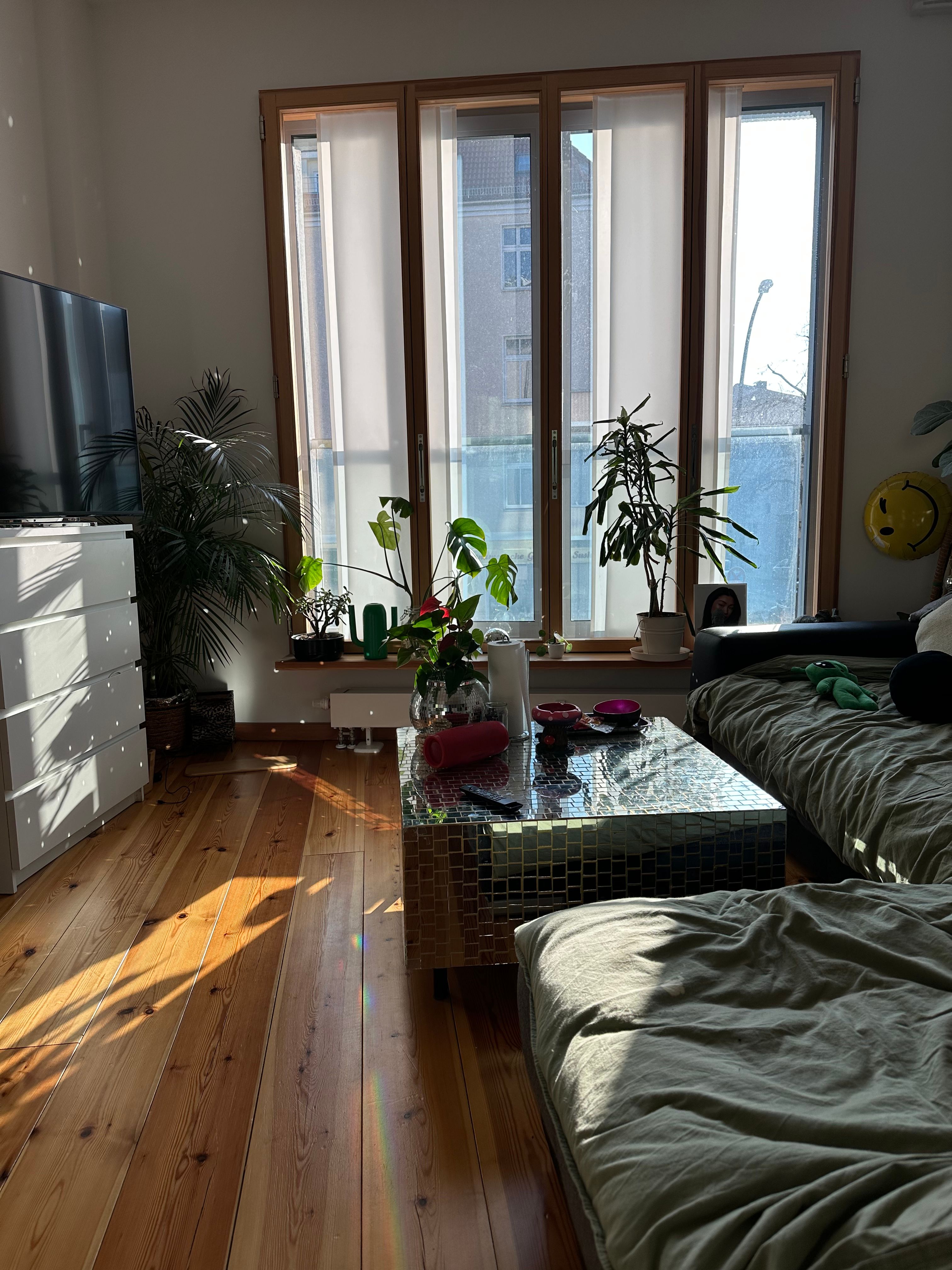 image-12