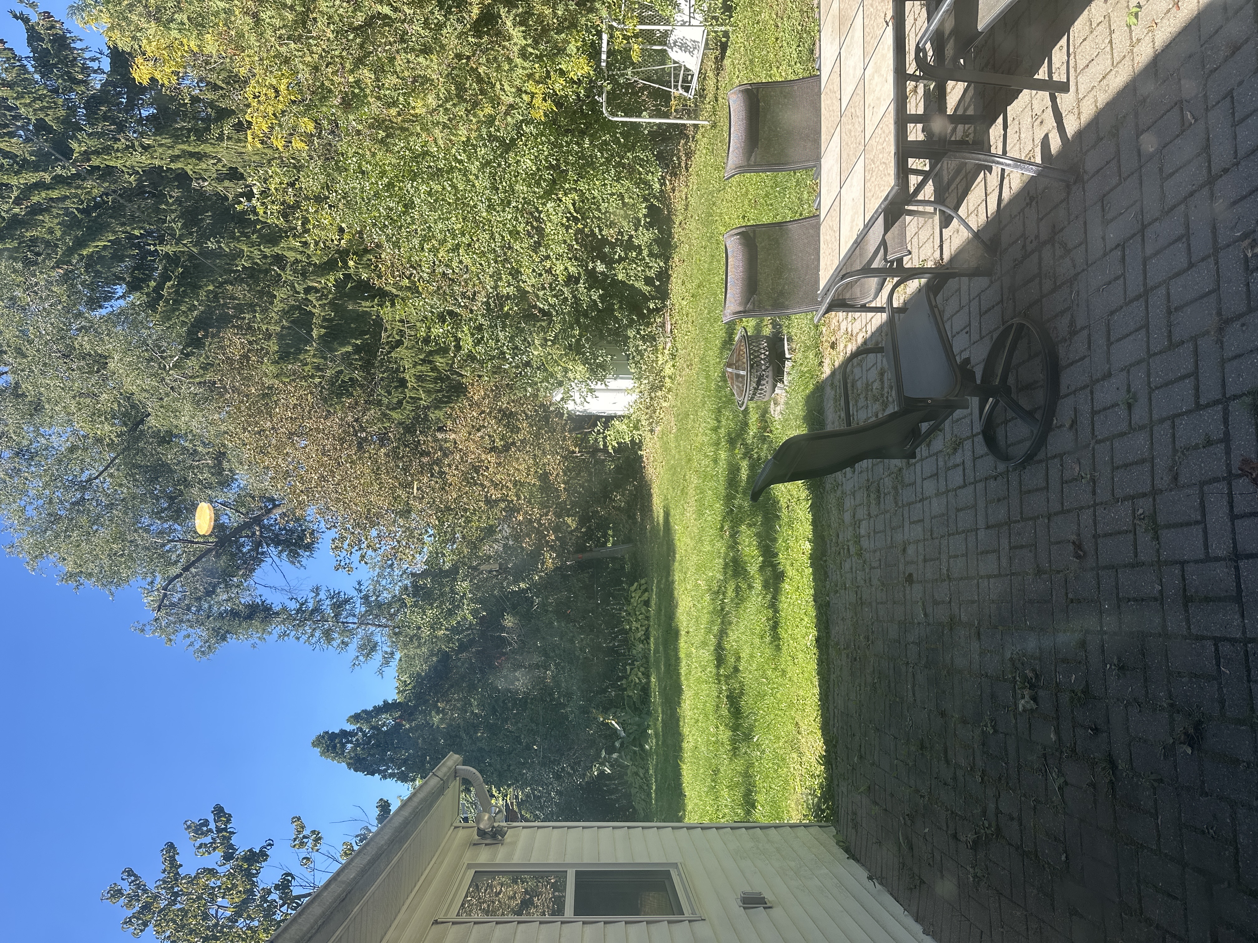 image-18