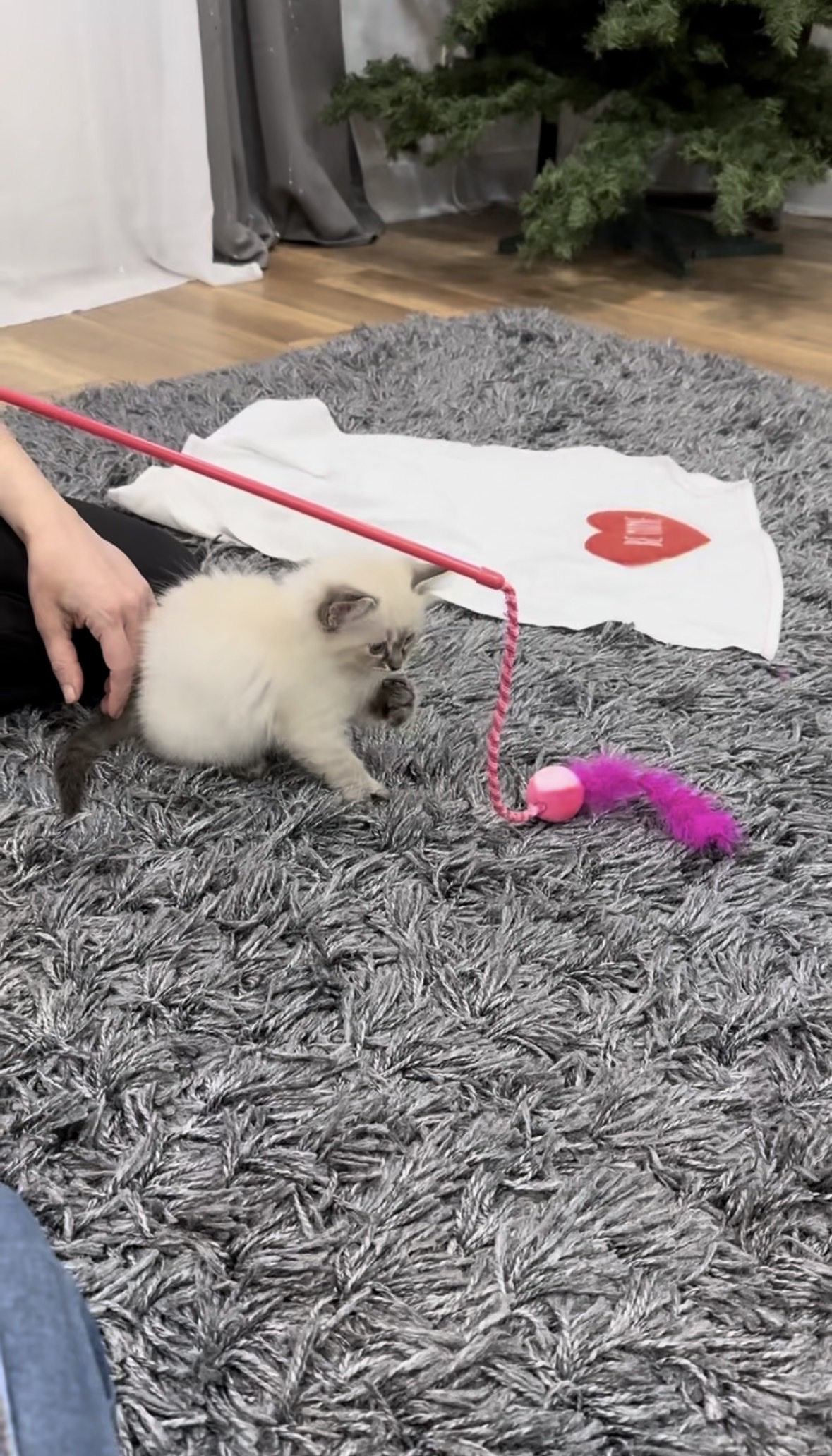image-3