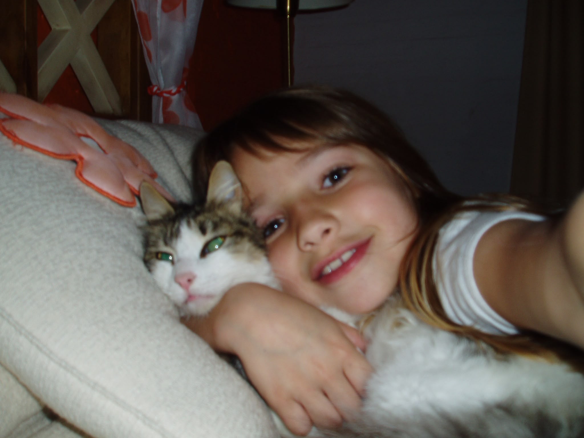 image-6