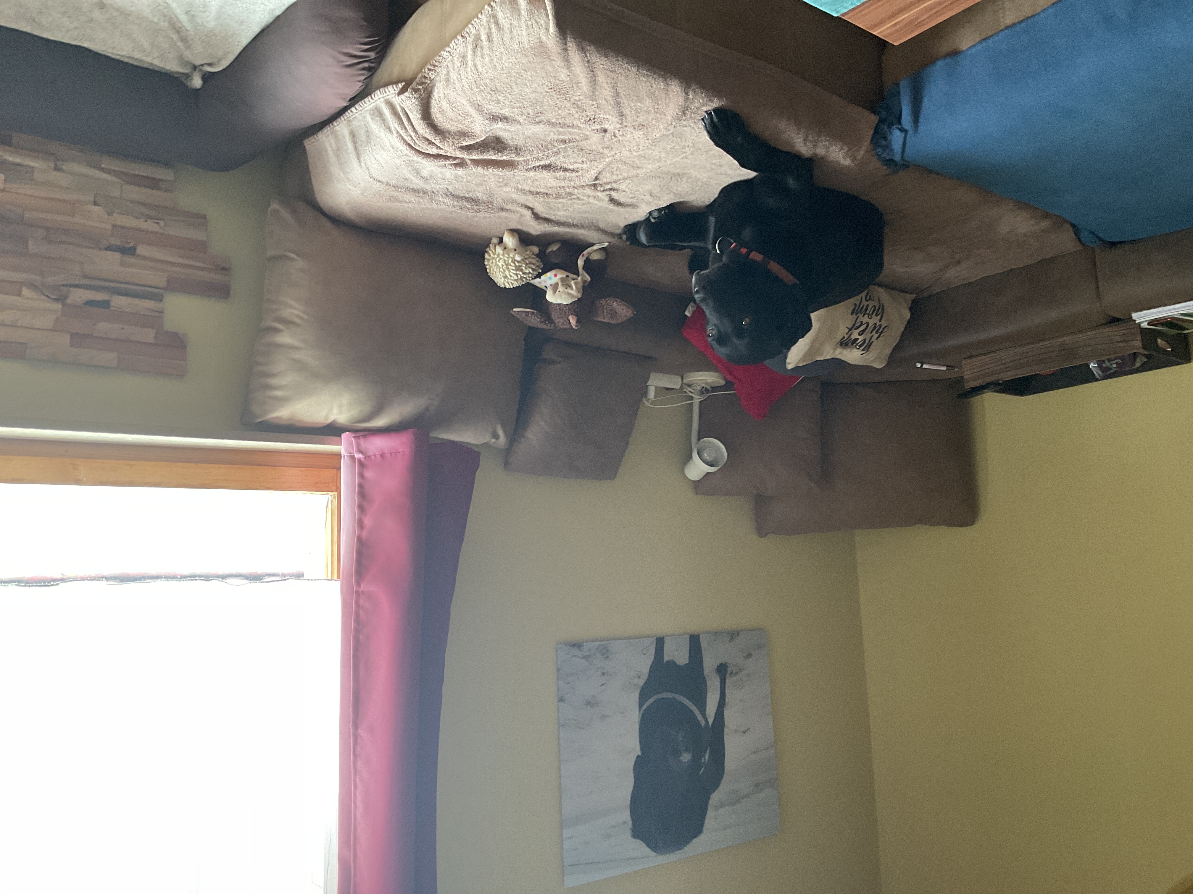 image-20