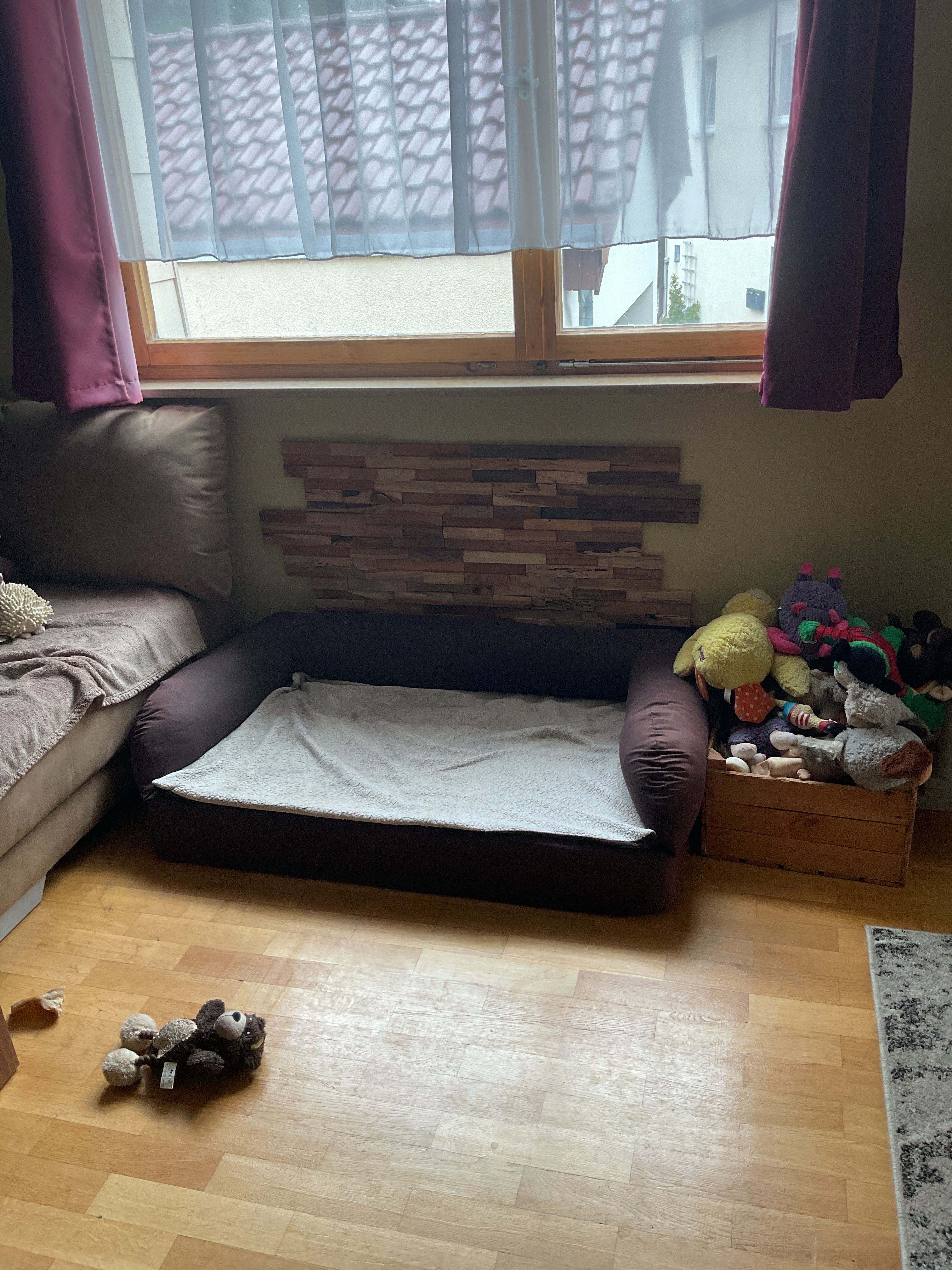 image-19