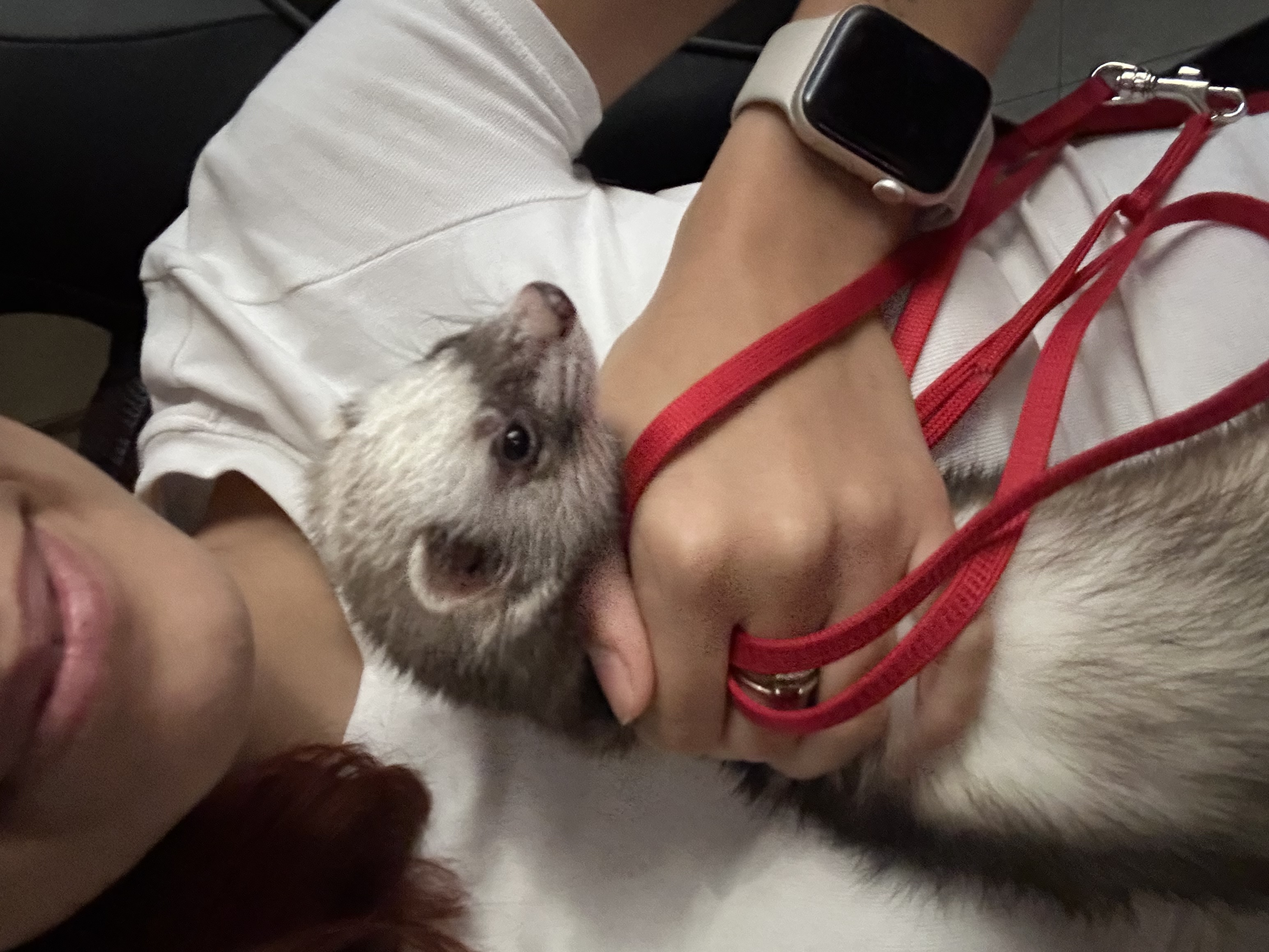 image-7