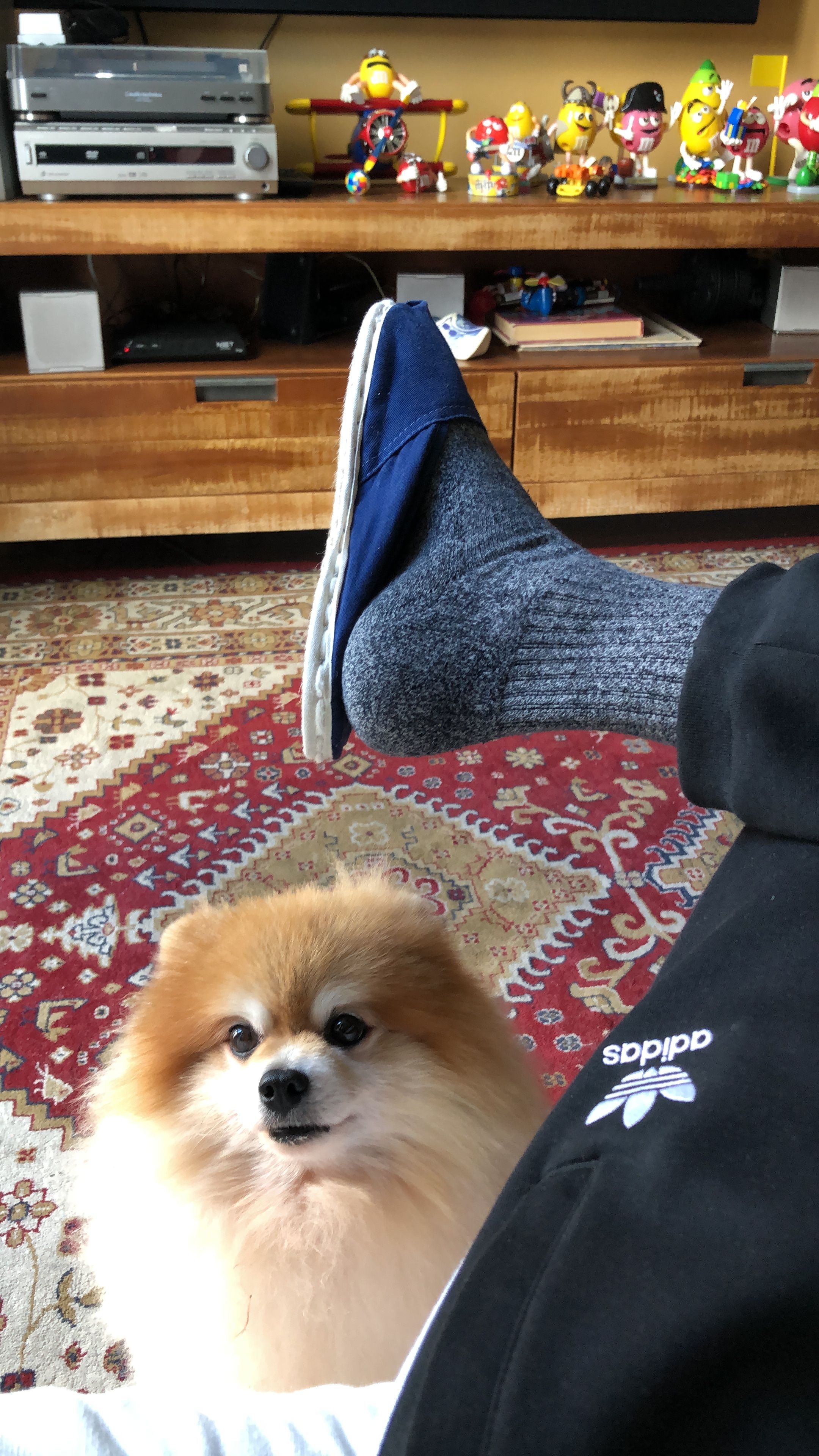 image-6
