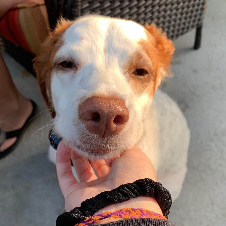 Bella