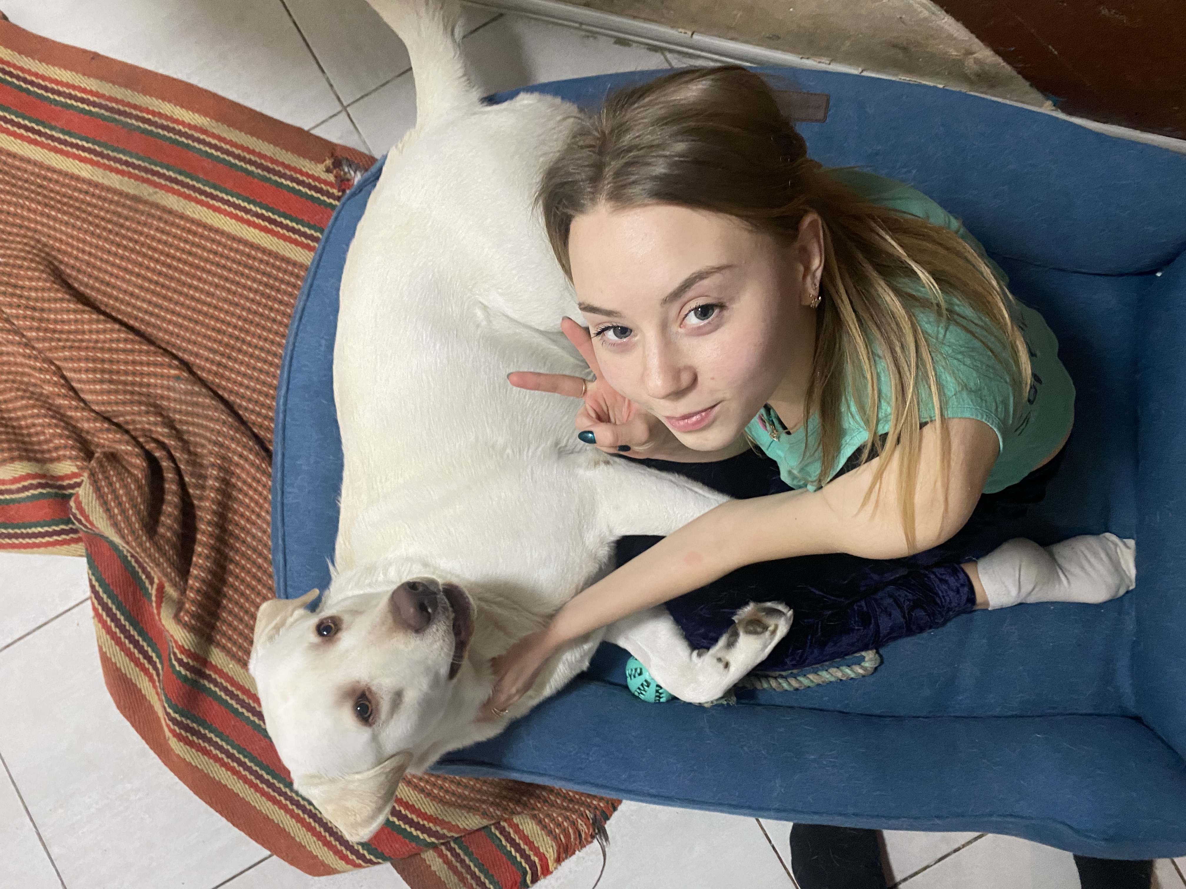 image-7