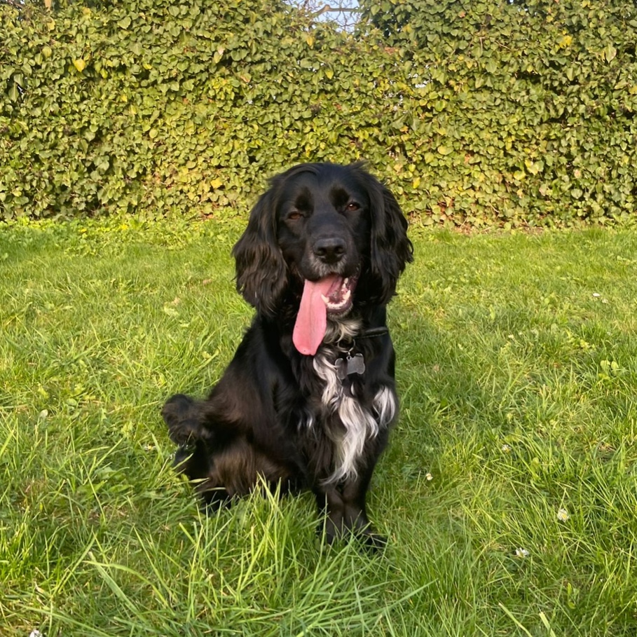 Leo