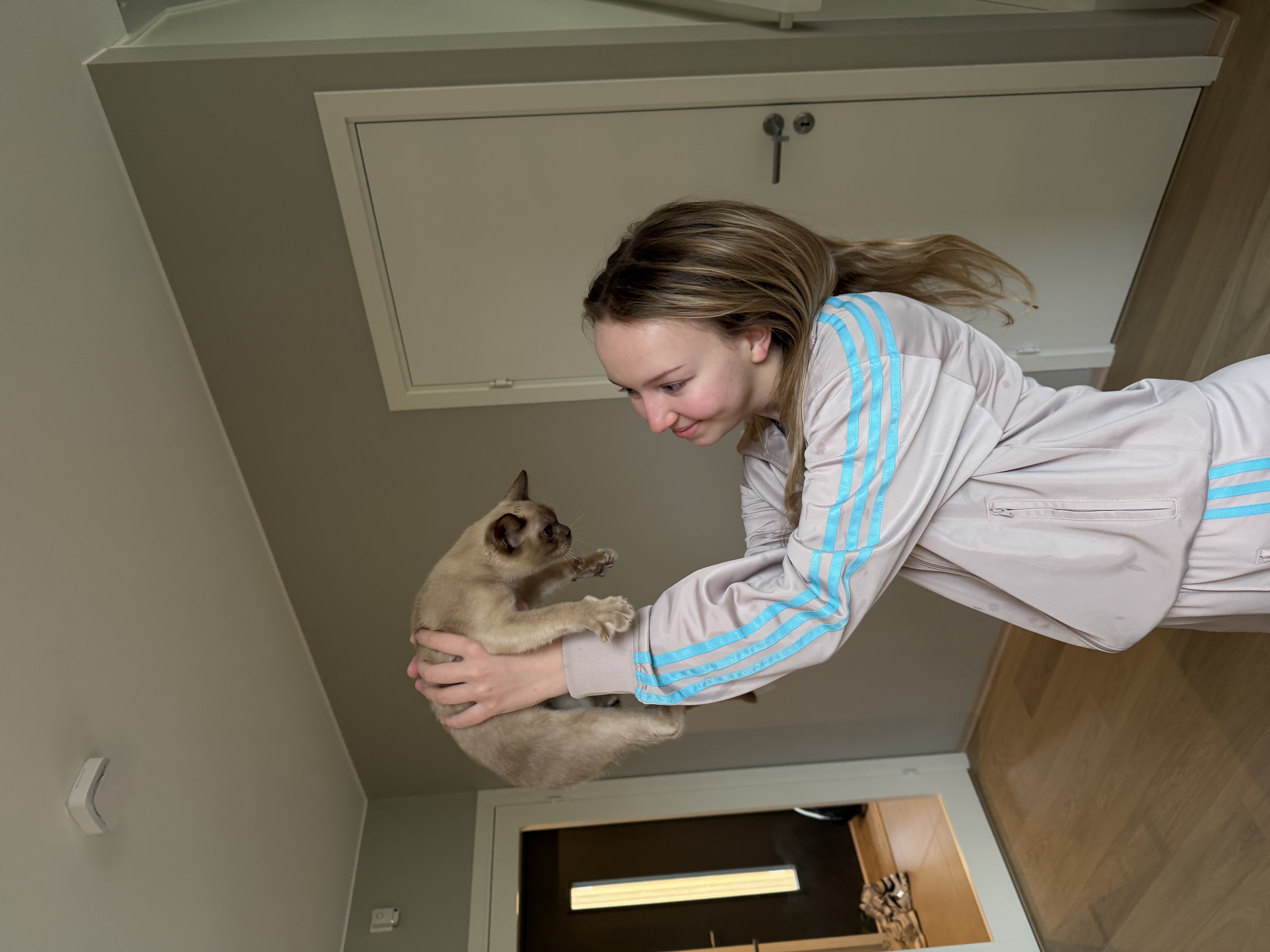 image-9