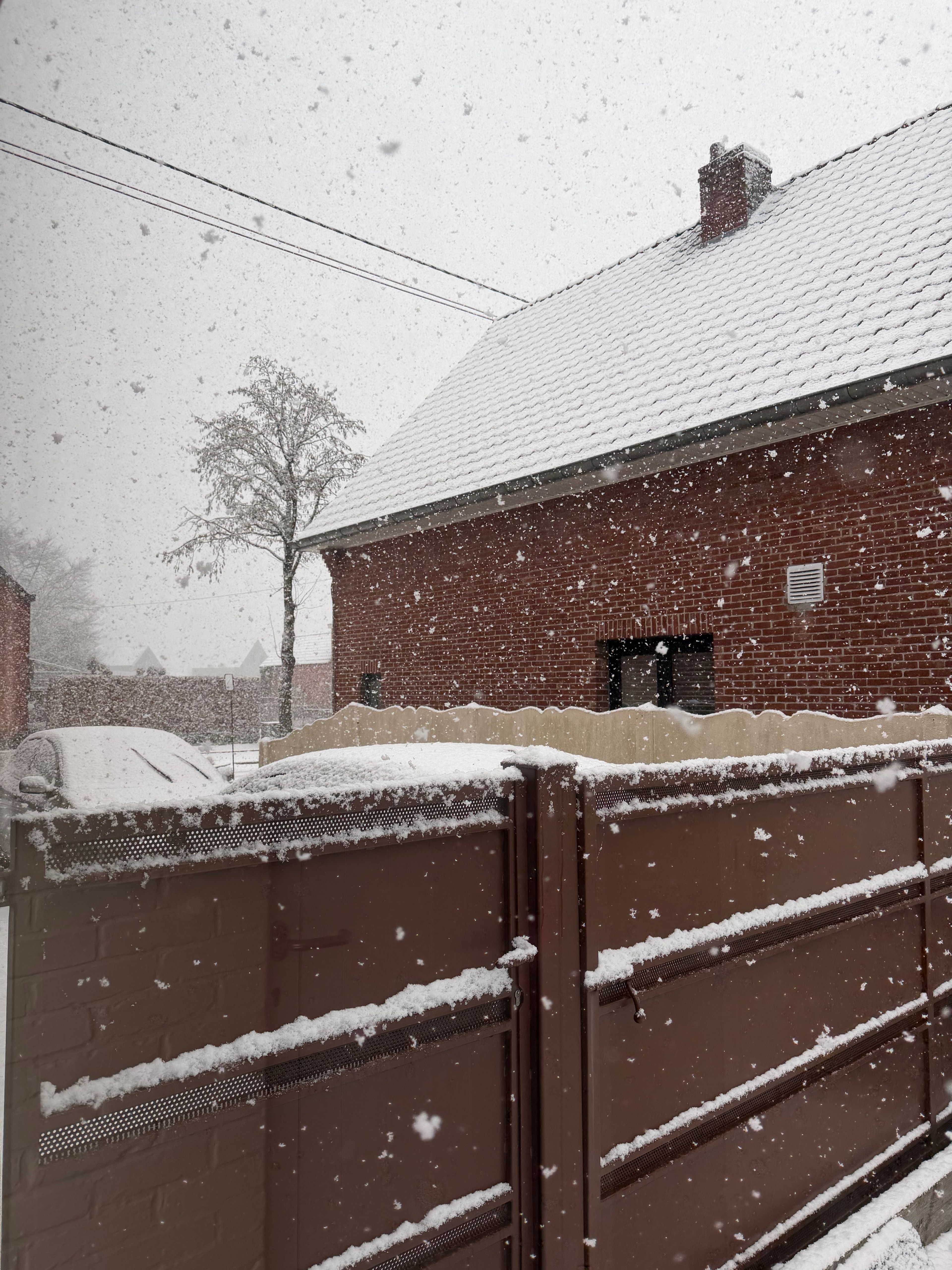 image-8