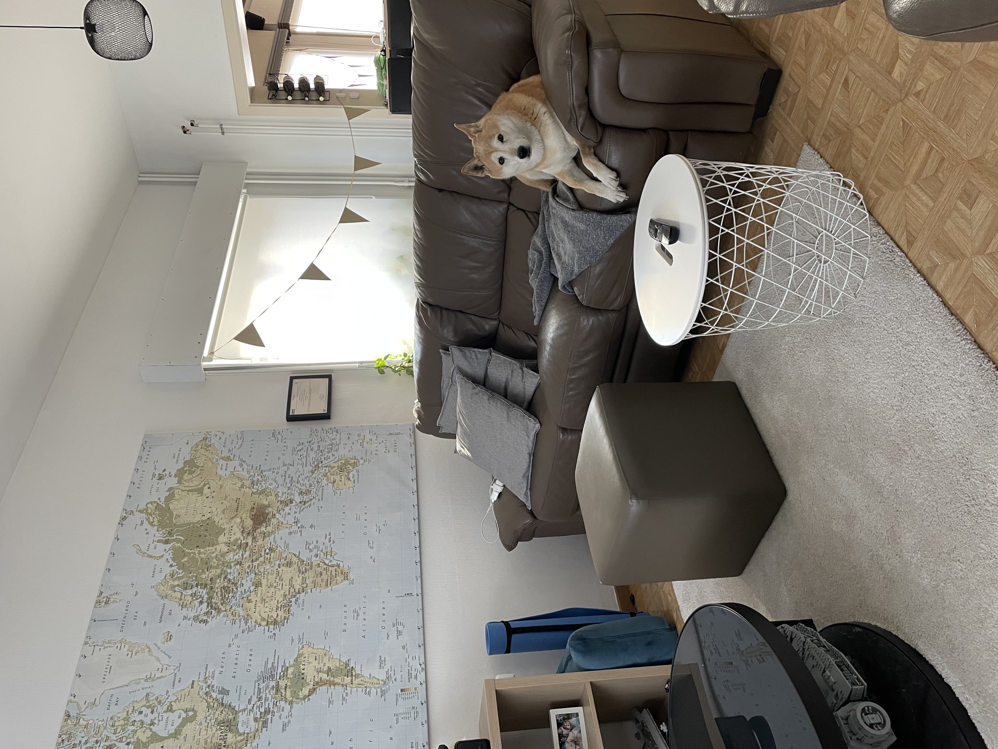 image-7