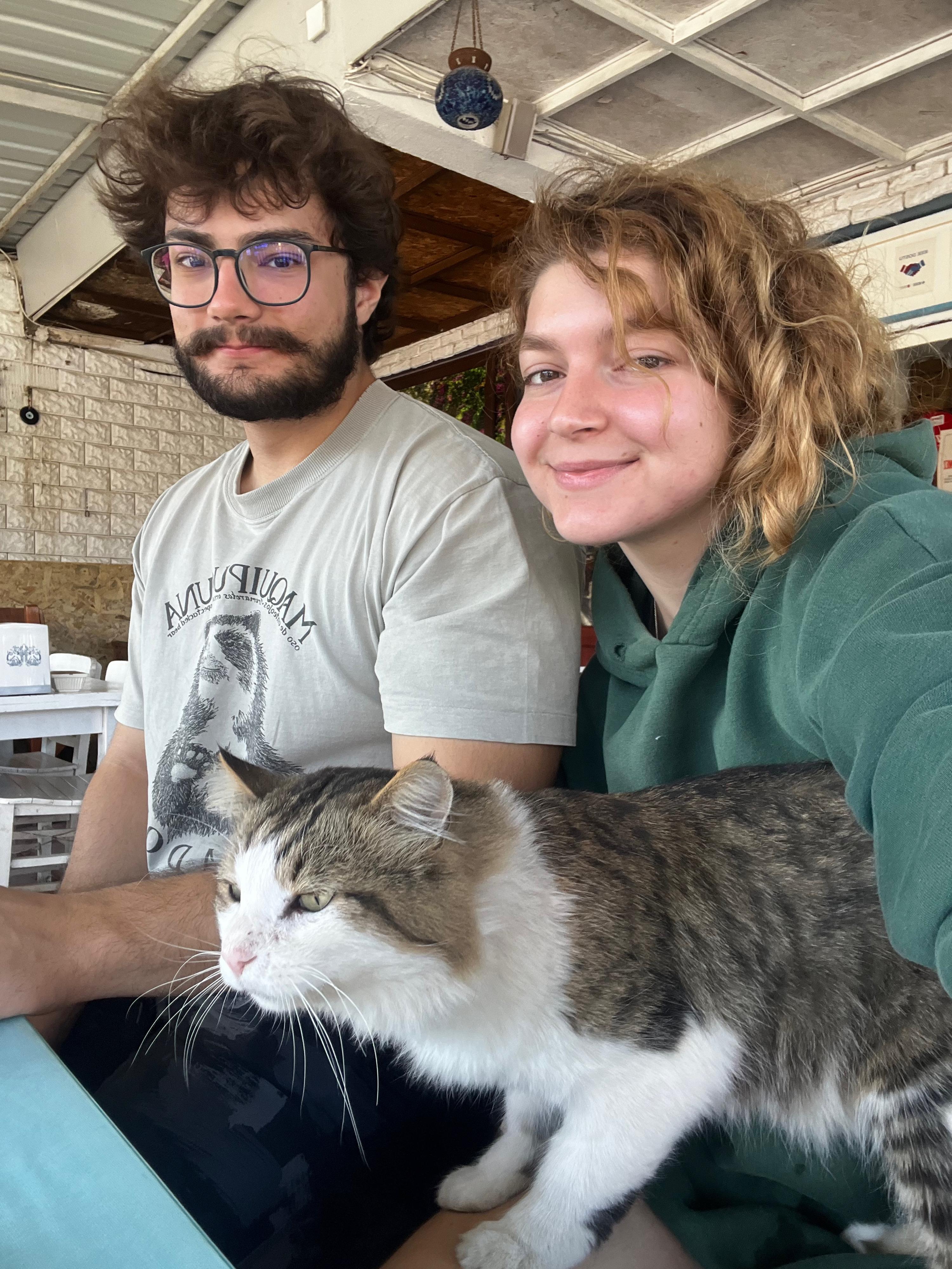 image-7