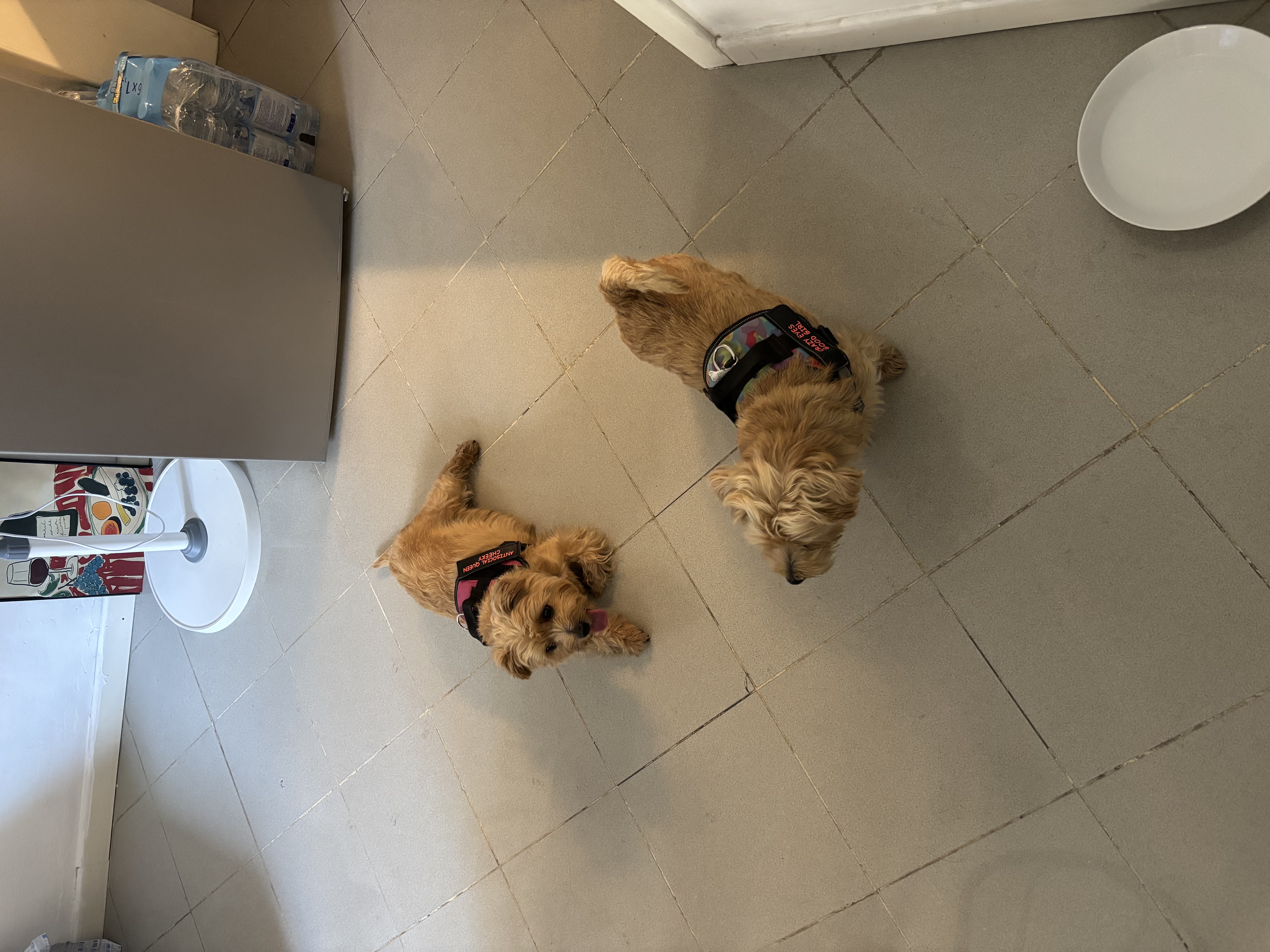 image-12