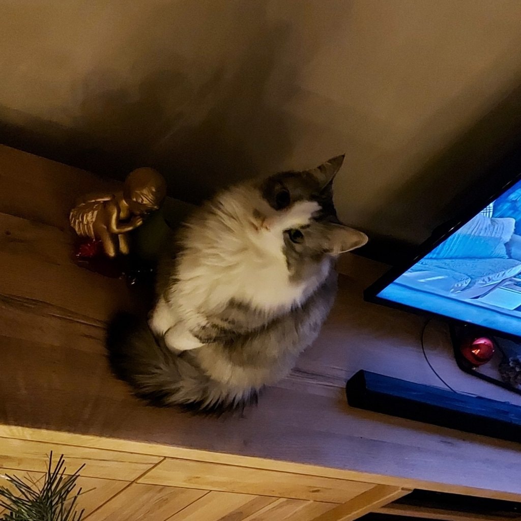 Mushu