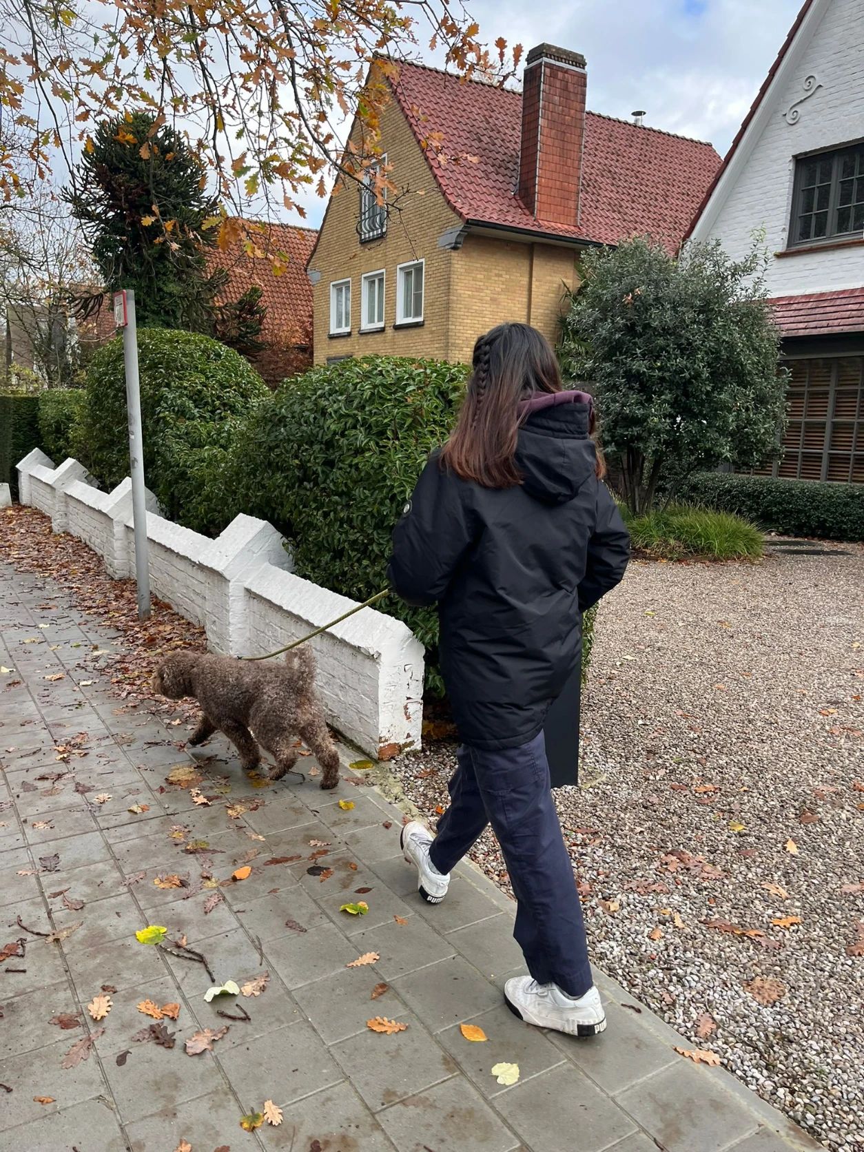 image-7